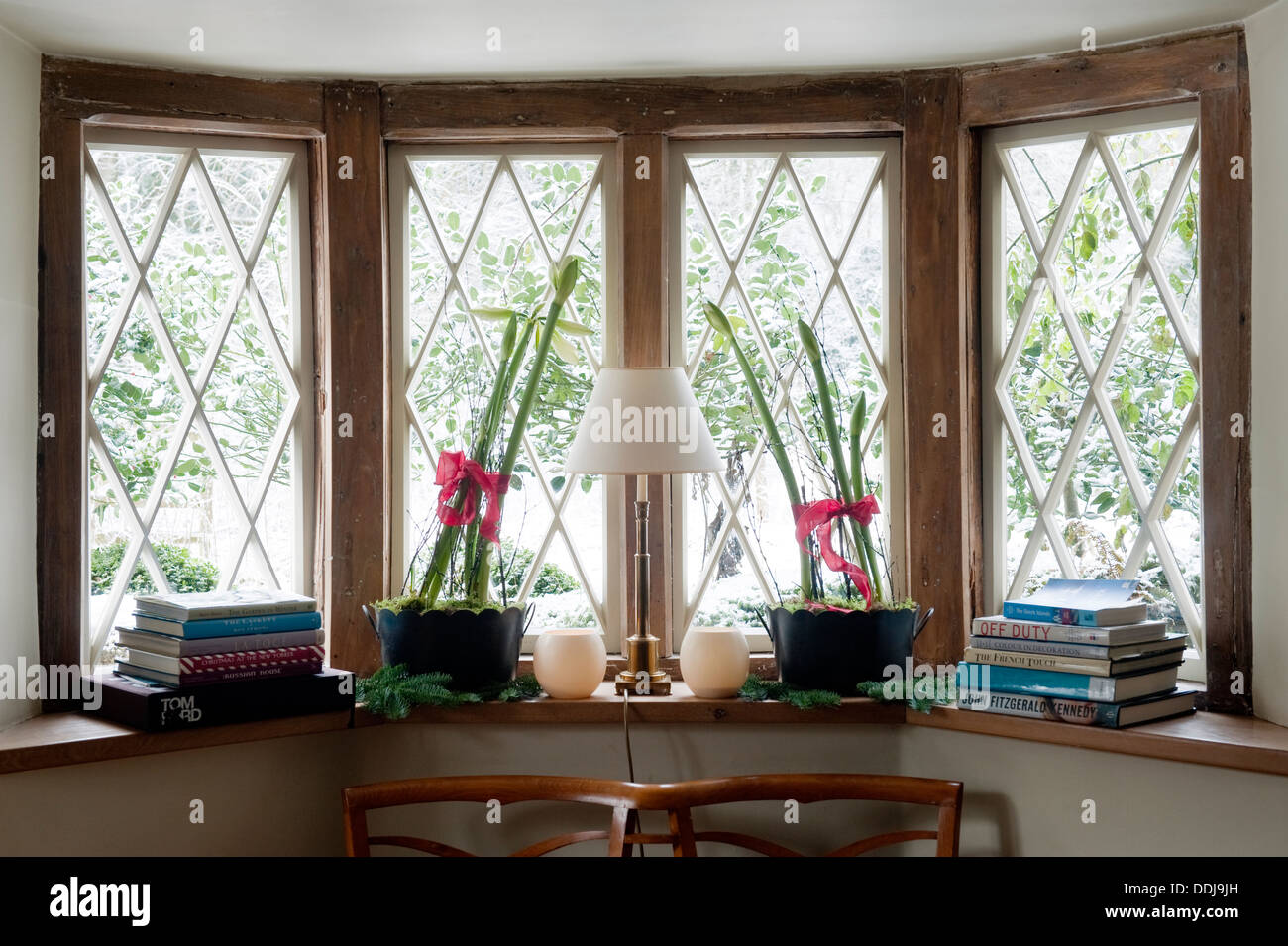 Des livres et des plantes en pot sur le rebord d'une fenêtre vitrage diamant Banque D'Images