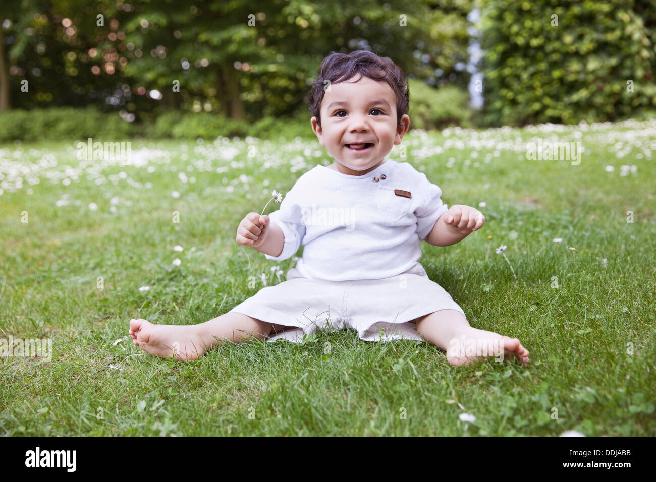 Baby Boy sitting on grass et holding daisy flower, smiling Banque D'Images
