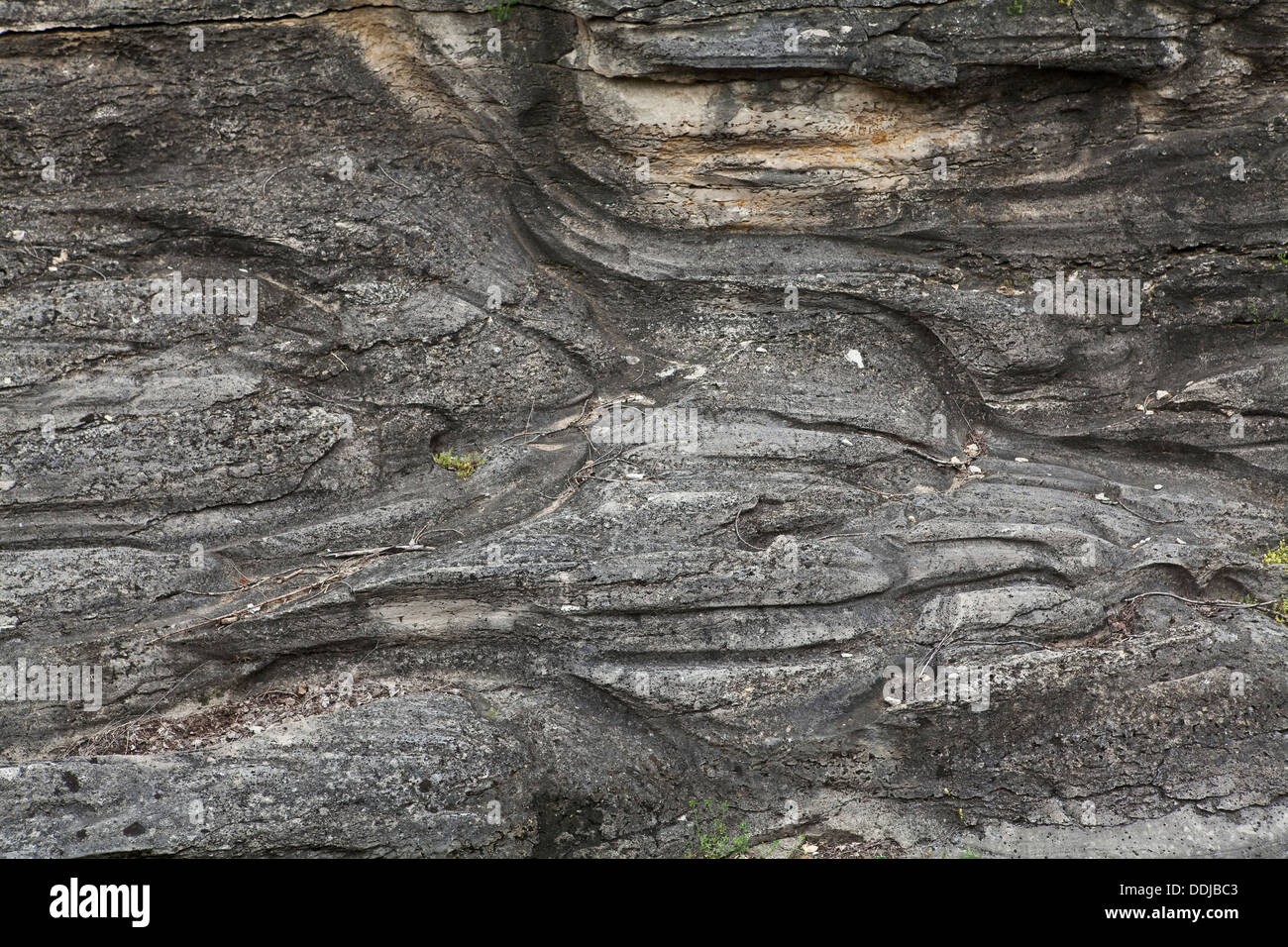 Rainures glaciaires sont représentés dans l'île Kelleys, Ohio Banque D'Images