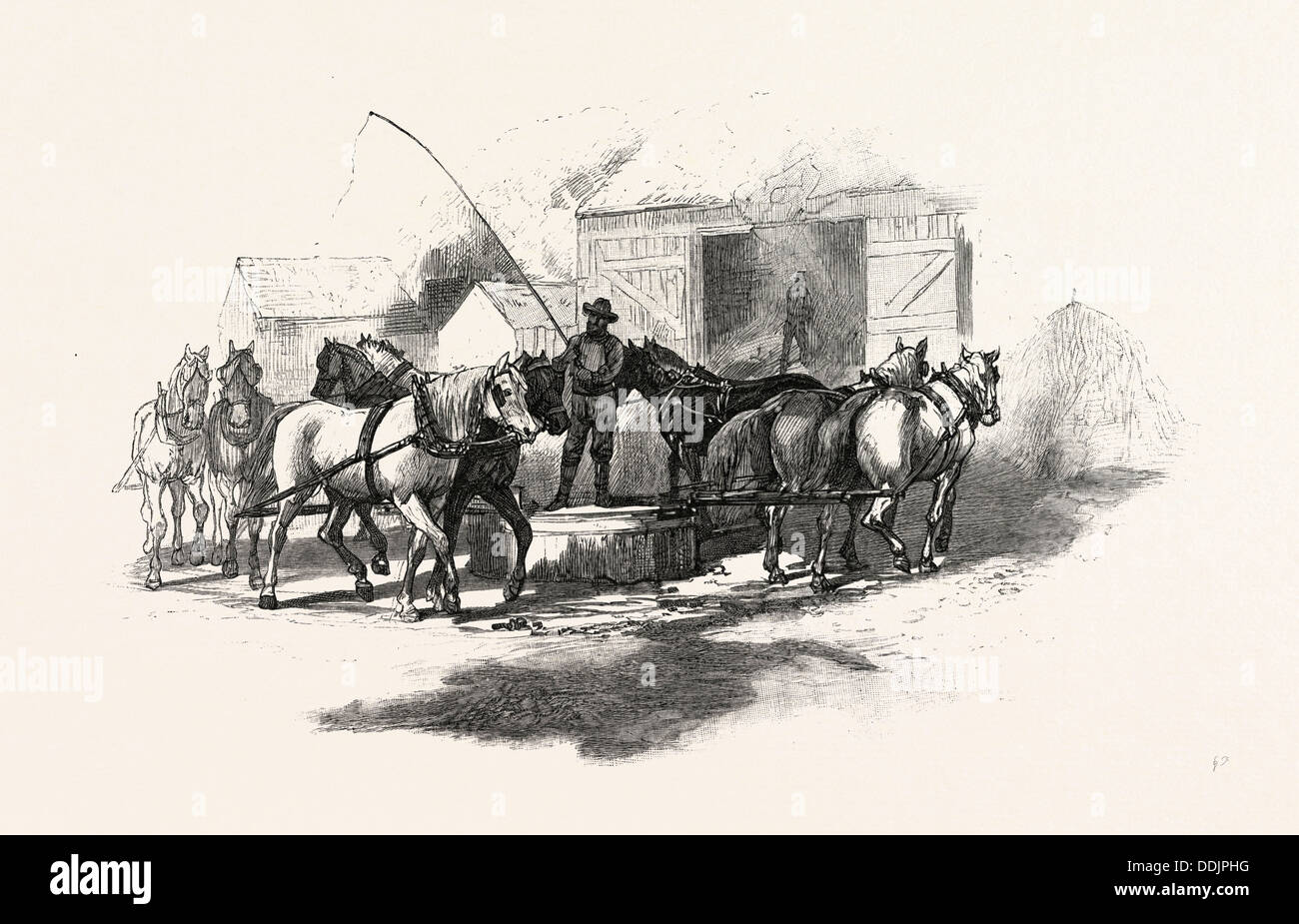 Par BATTAGE HORSE POWER, LE CANADA, LA GRAVURE DU XIXE SIÈCLE Banque D'Images