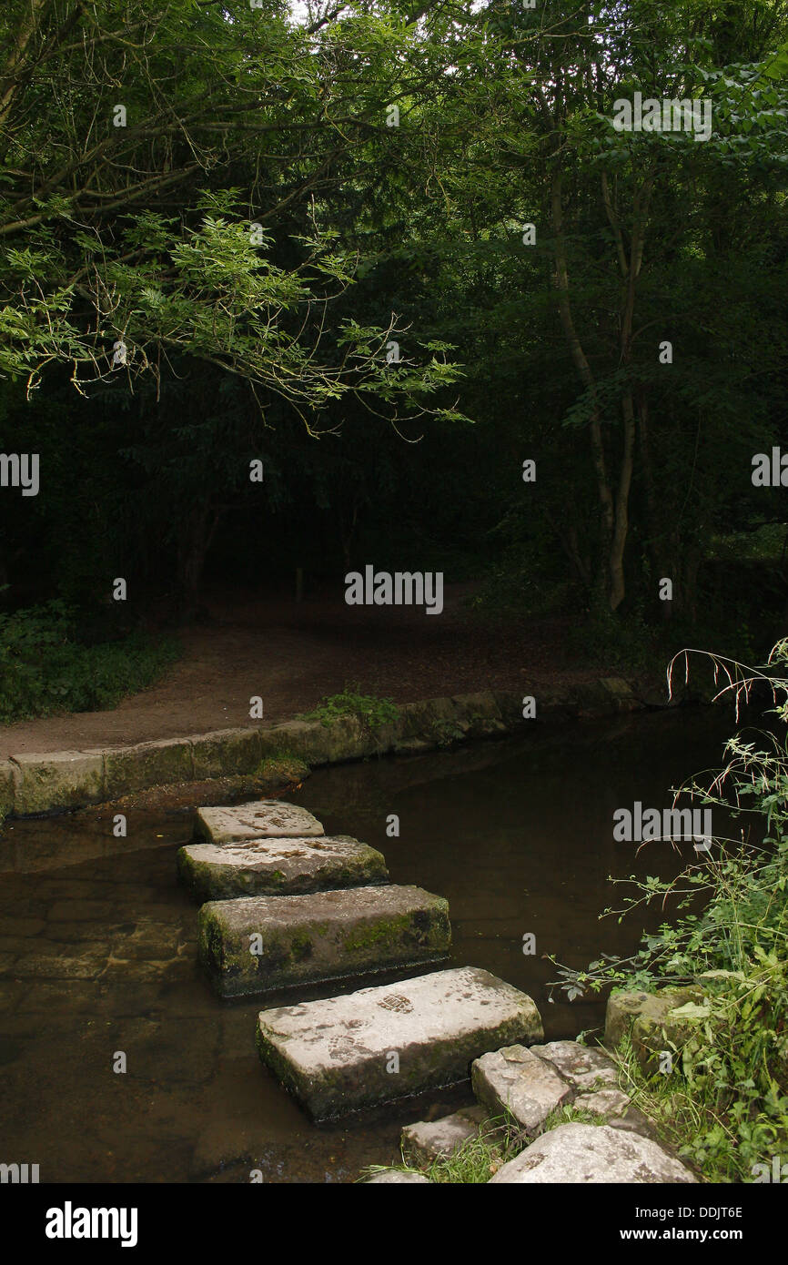 Stepping Stones. Roche Abbey, Maltby, Rotherham, South Yorkshire Banque D'Images