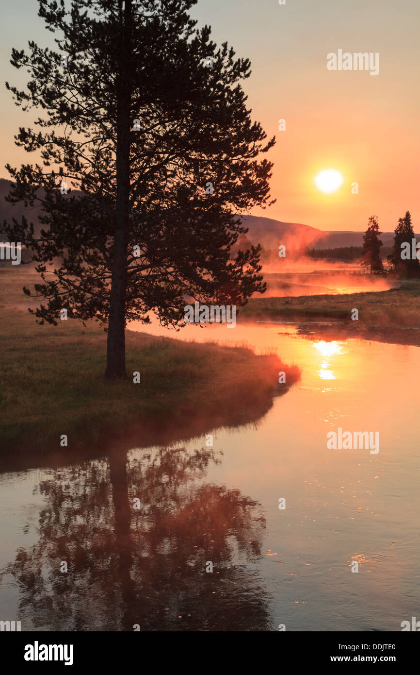Lever du soleil à Gibbson River, le Parc National de Yellowstone Banque D'Images Lever du soleil à Gibbson River, le Parc National de Yellowstone Banque D'Images
