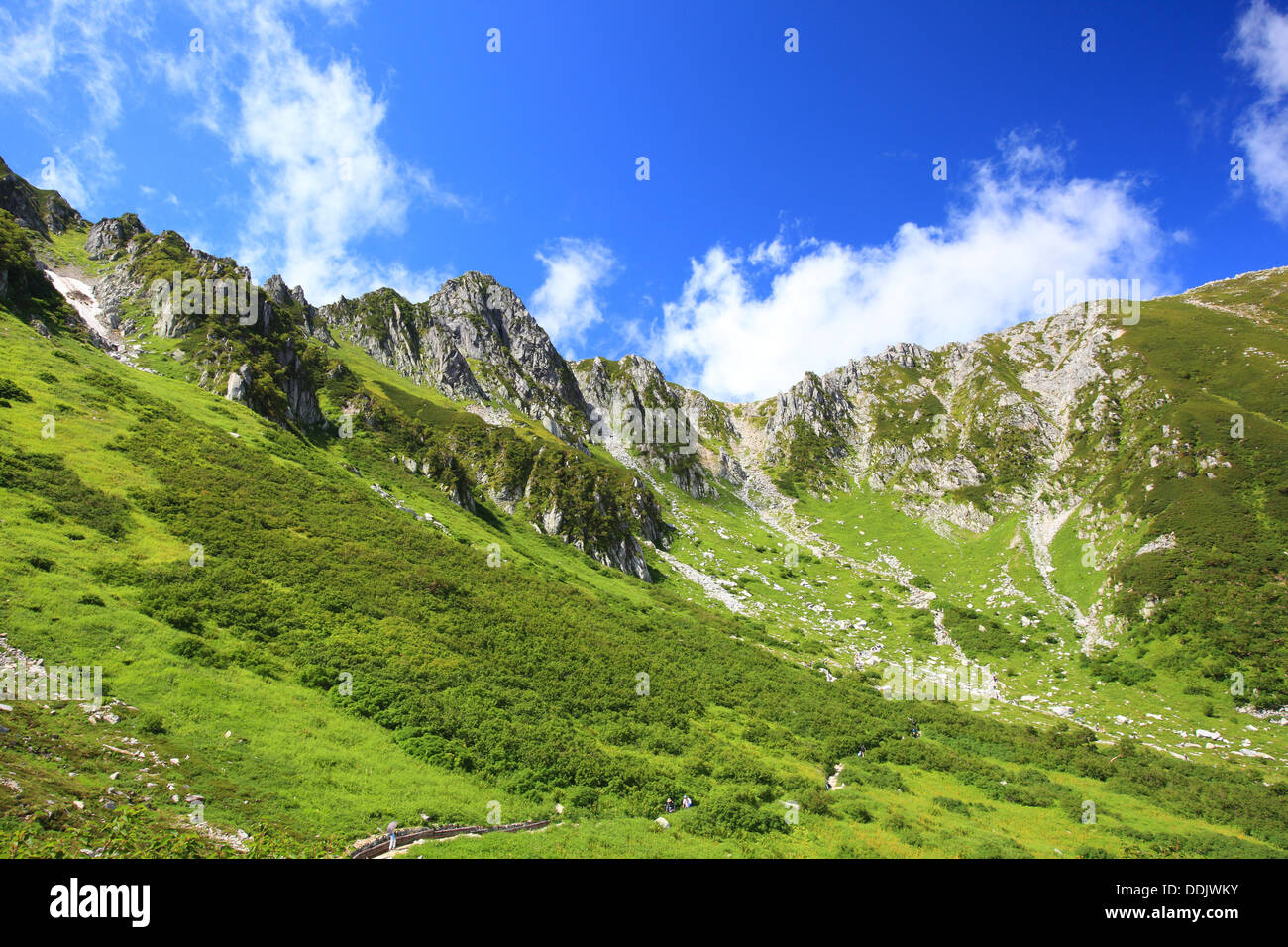Senjyojiki Alpes centrales Carl de l'été, Nagano, Japon Banque D'Images