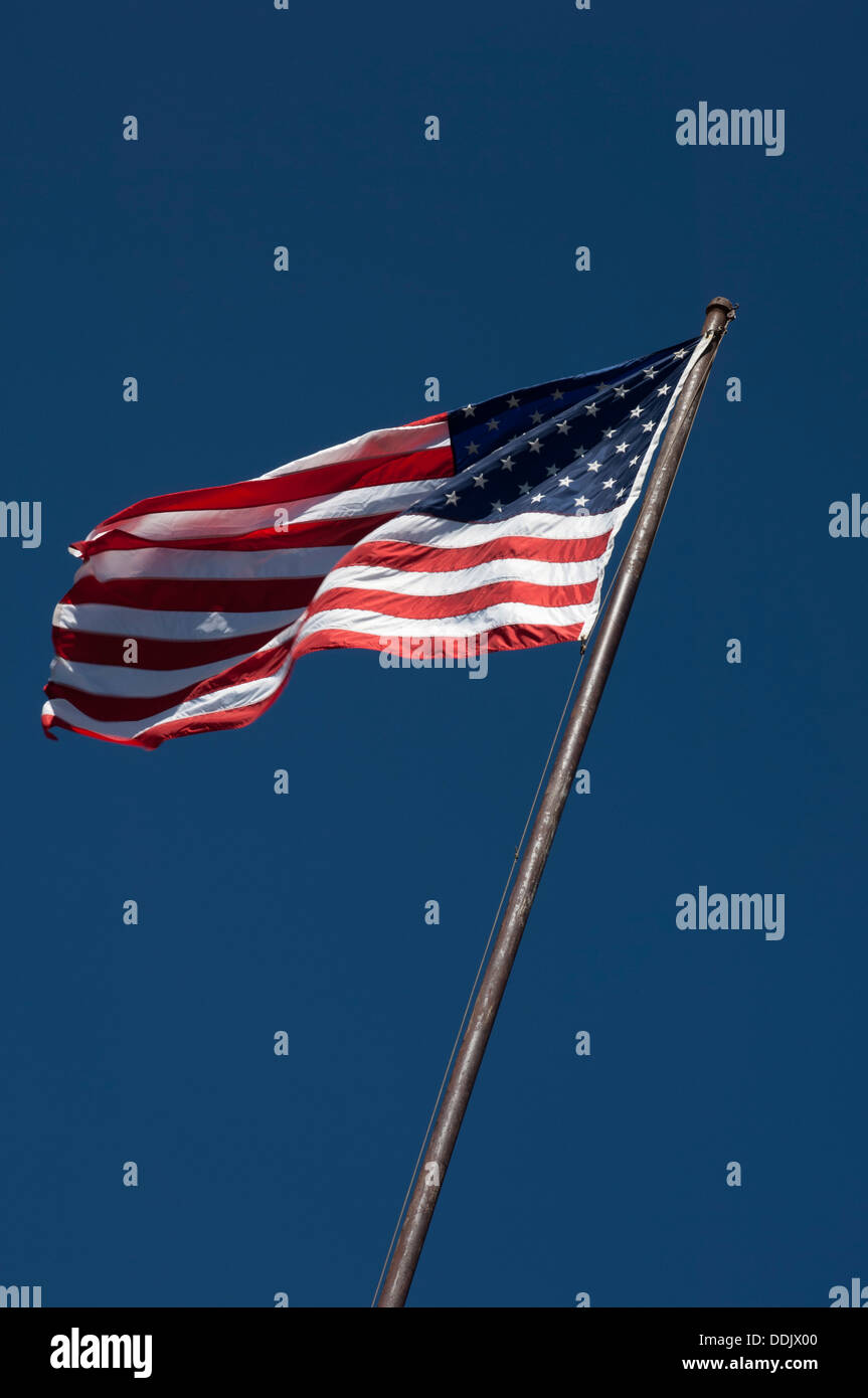 Les États-Unis drapeau flotte à Mount Rainier National Park, Washington, USA Banque D'Images