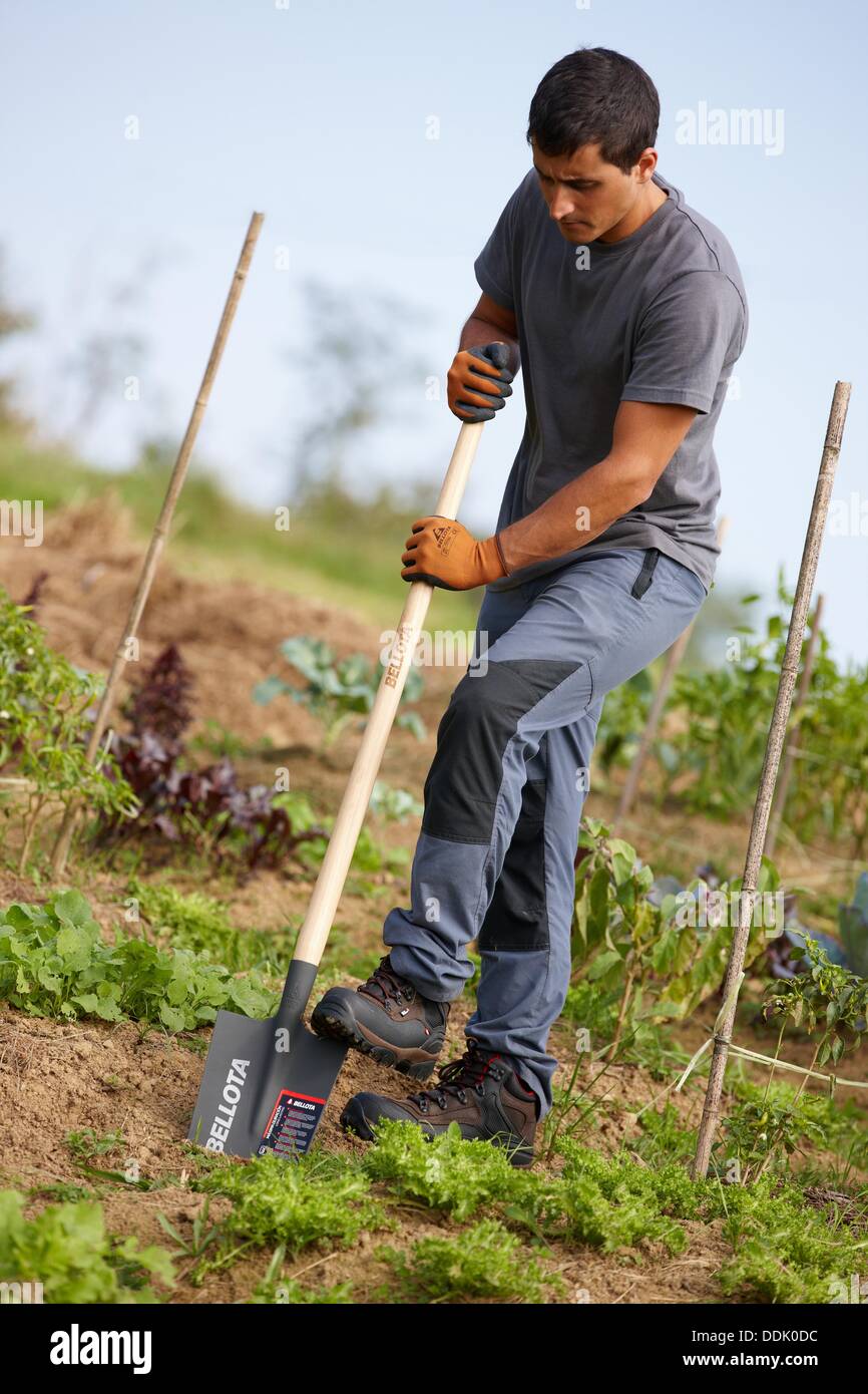 Agriculteur à creuser et retourner la terre avec une pelle, de  l'agriculture et le jardinage, outil à main, Usurbil, Gipuzkoa, Pays Basque  Photo Stock - Alamy