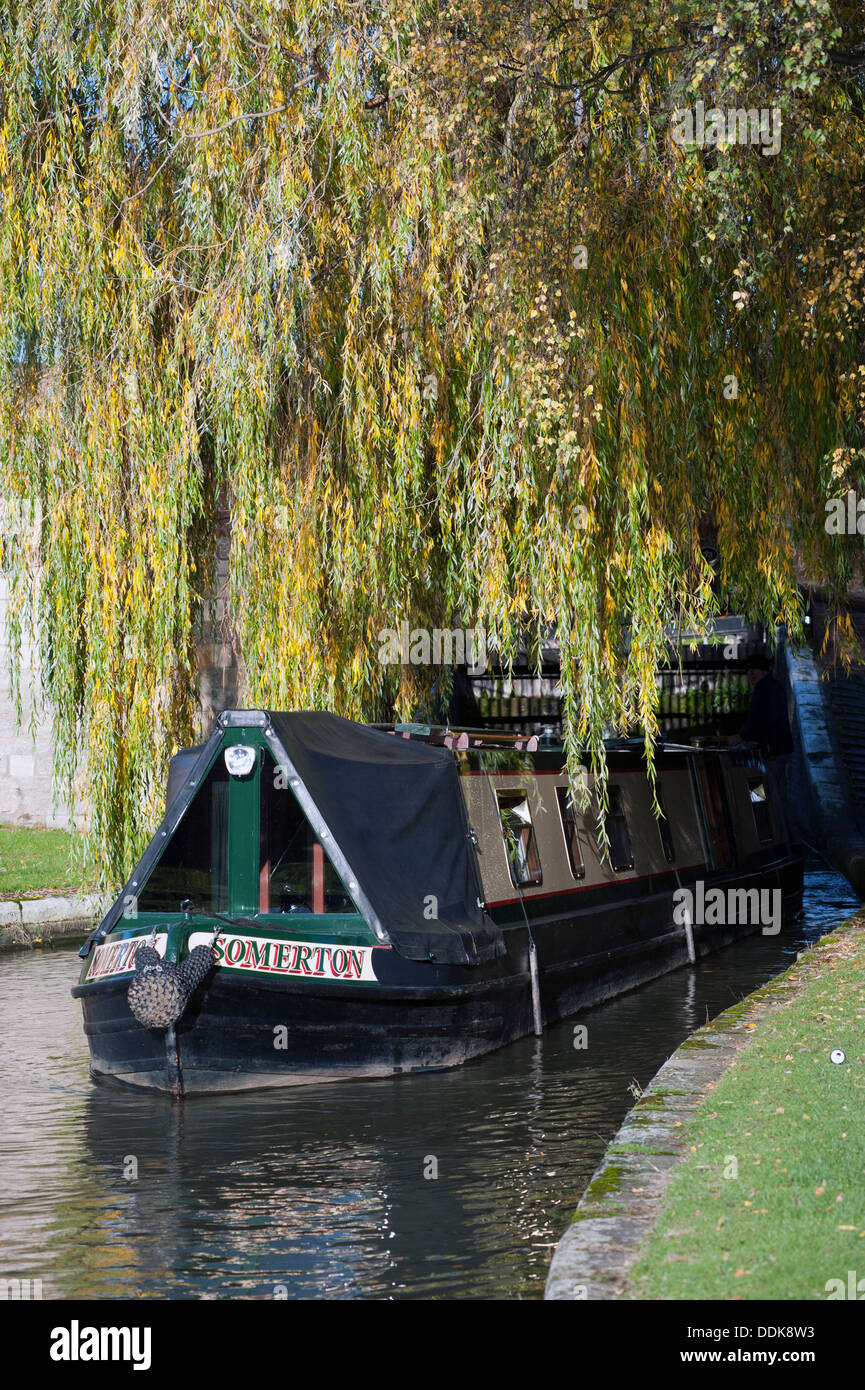 Venant par bateau étroit sur les arbres surplombant Grand Union canal, à Stoke bruerne, Banque D'Images