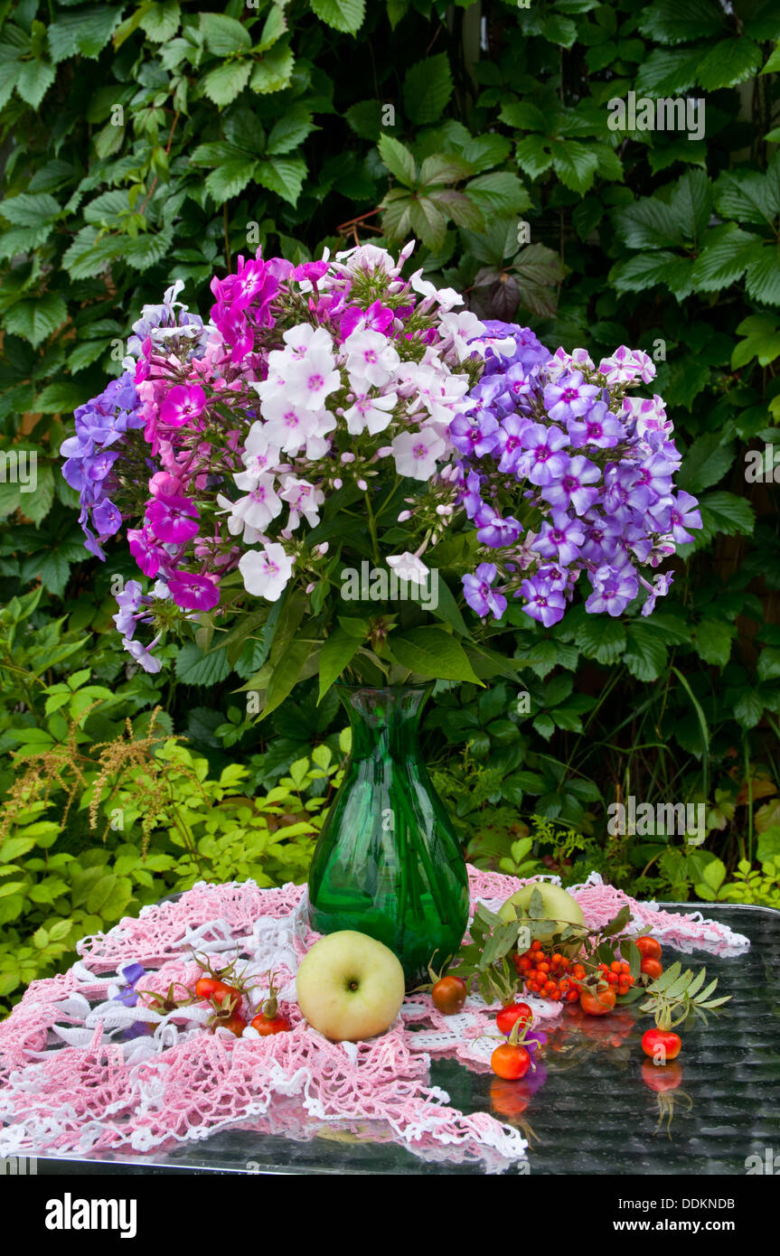Still Life bouquet de phlox, baies et Apple Banque D'Images