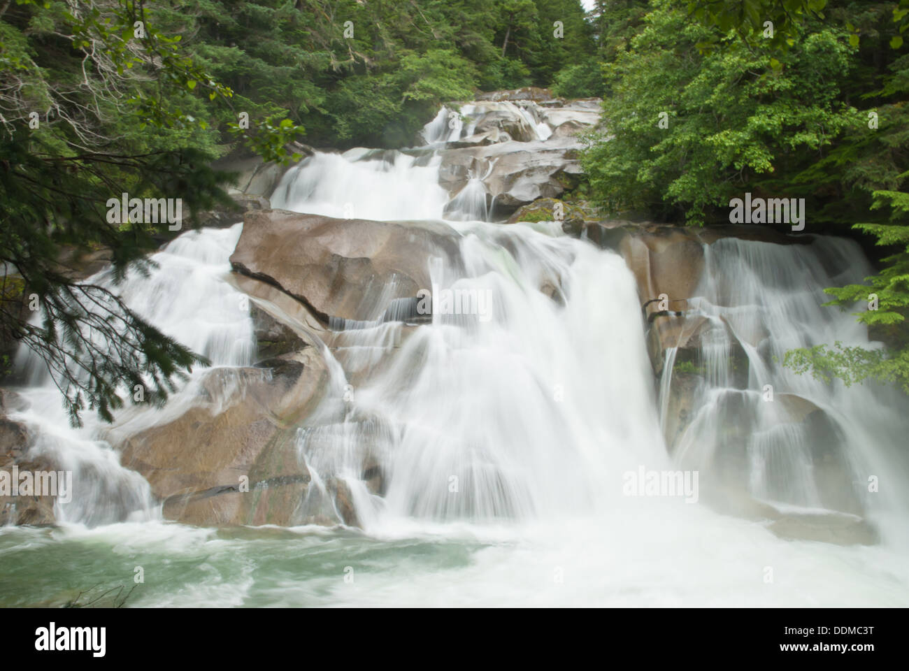 Clayton Falls près de Bella Coola (Colombie-Britannique) Banque D'Images
