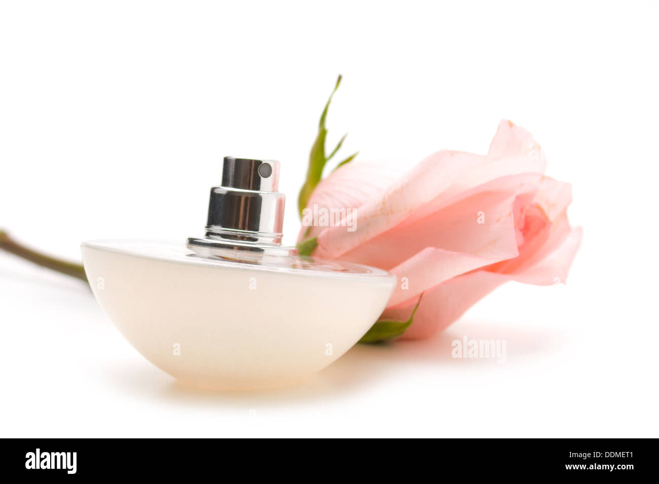Parfums avec le parfum des roses fleurs isolé sur fond blanc Banque D'Images