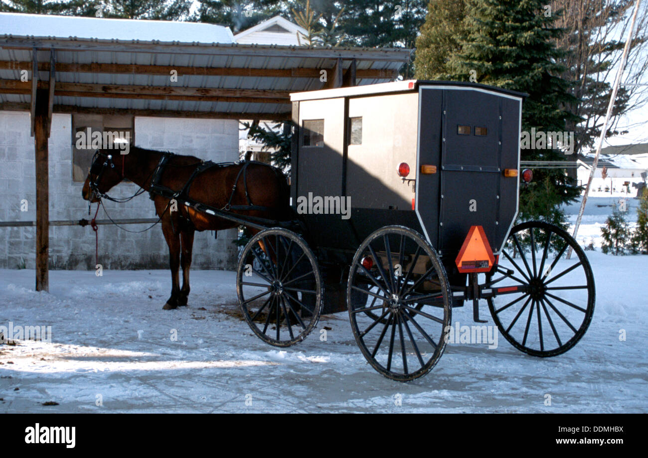 Buggy à cheval Amish, concept de minorité ethnique Banque D'Images