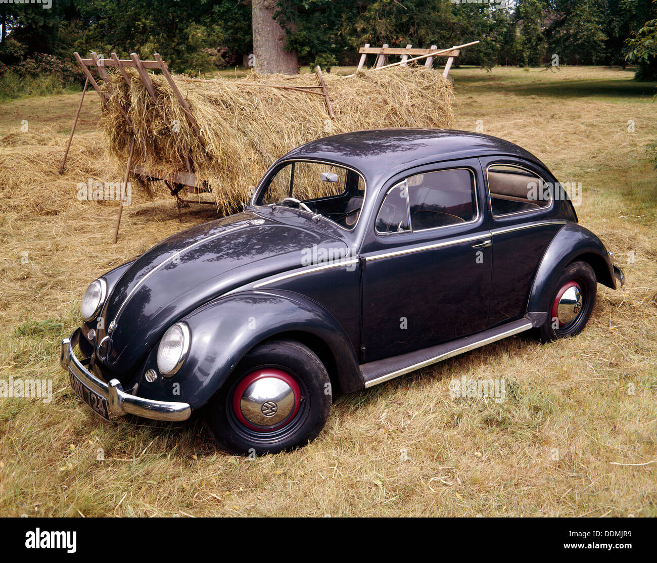Un type d'exportation 1953 Volkswagen Beetle JE. Artiste : Inconnu Banque D'Images