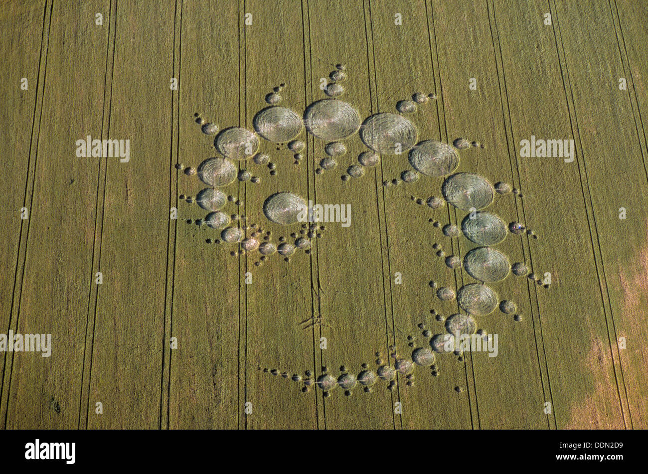 Crop Circles, Stonehenge, Wiltshire, 1996. Artiste : EH/RCHME photographe personnel Banque D'Images