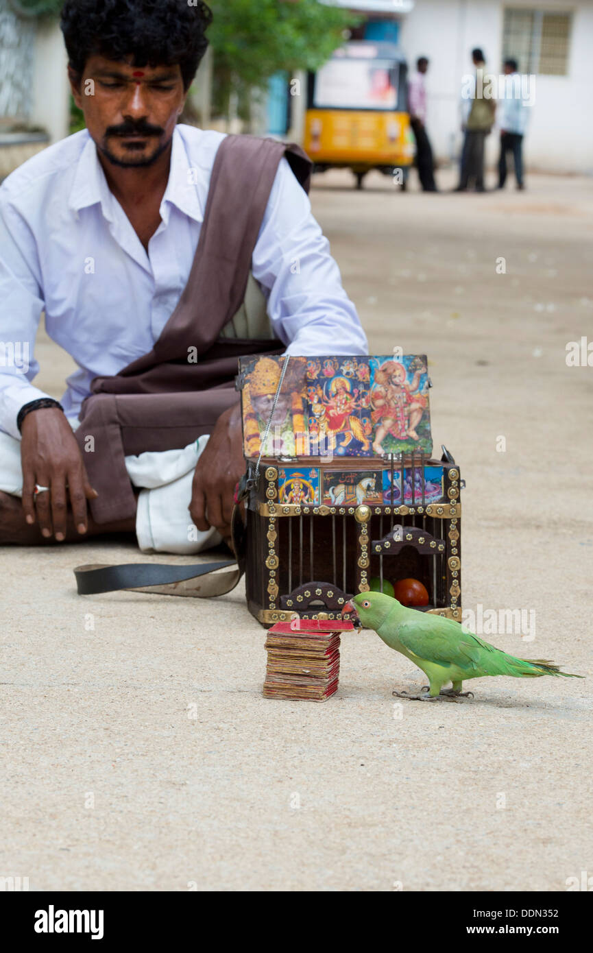 L'astrologue indien street / Fortune Teller d'un perroquet. L'Andhra Pradesh, Inde Banque D'Images