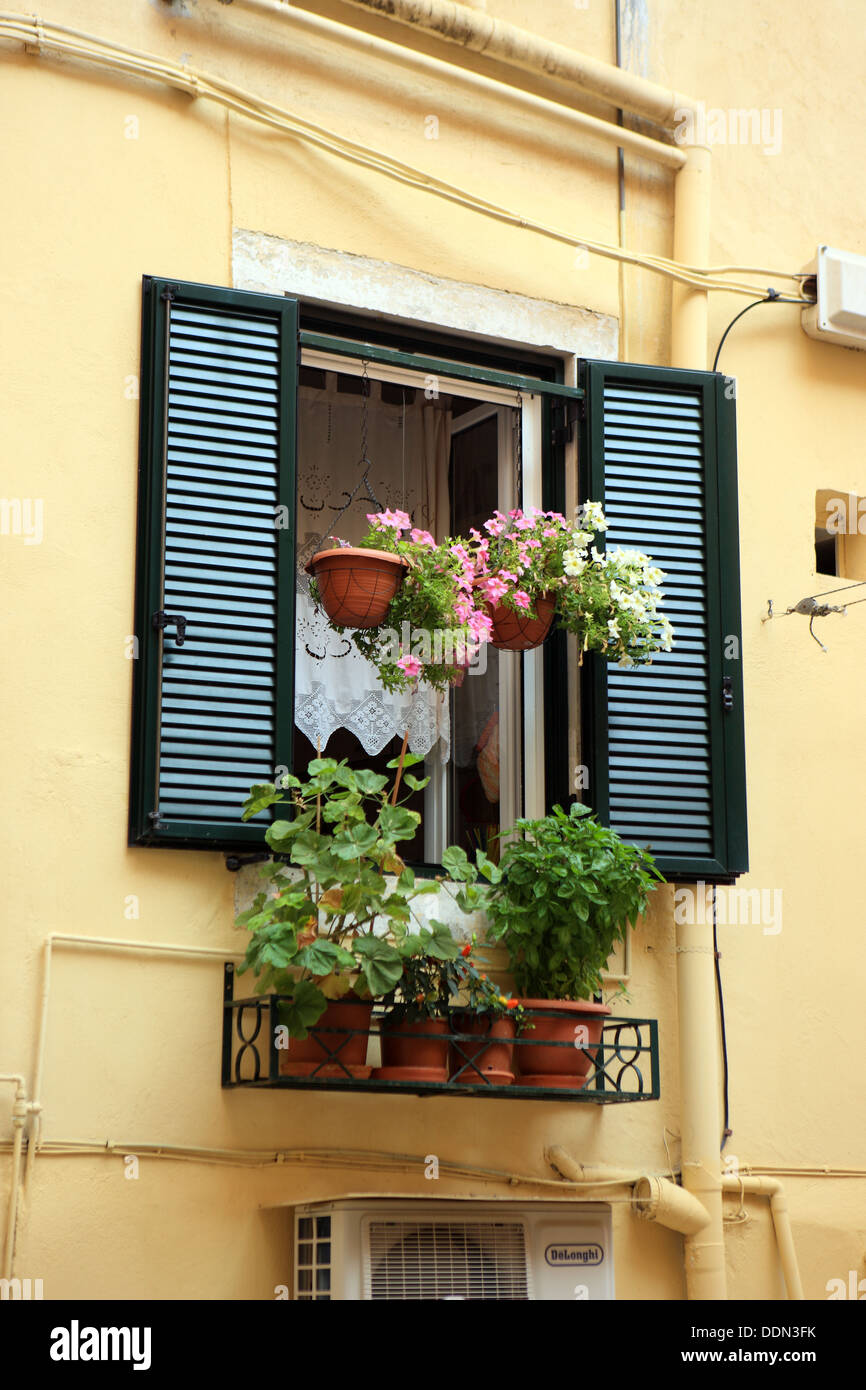 Fenêtre à volets typiques dans un bâtiment de citron pâle avec des fleurs et des corbeilles suspendues dans la ville de Corfu, Grèce Banque D'Images Fenêtre à volets typiques dans un bâtiment de citron pâle avec des fleurs et des corbeilles suspendues dans la ville de Corfu, Grèce Banque D'Images