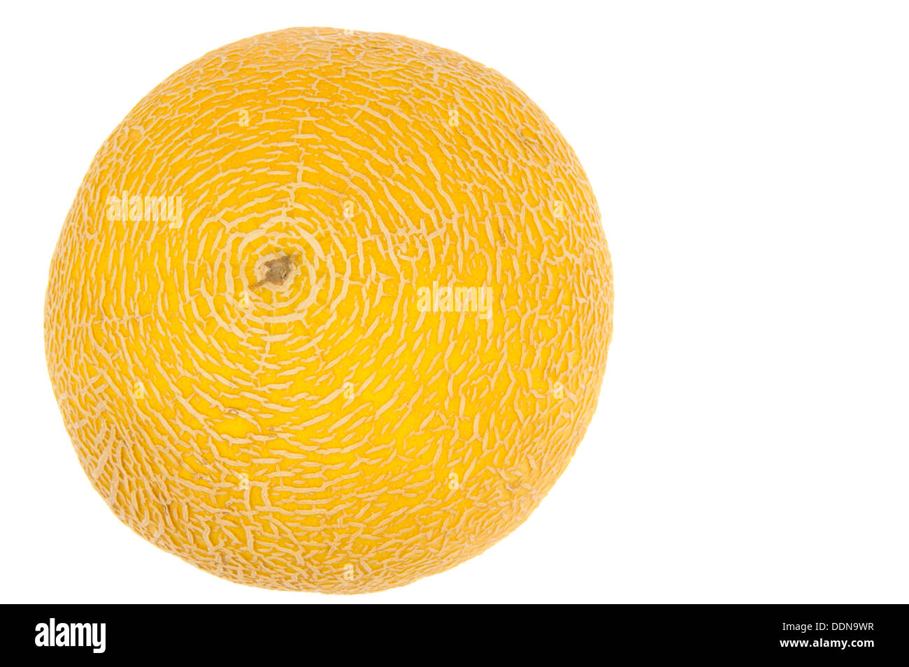 La peau striée en forme de cercles concentriques d'un melon jaune en blanc isolé Banque D'Images