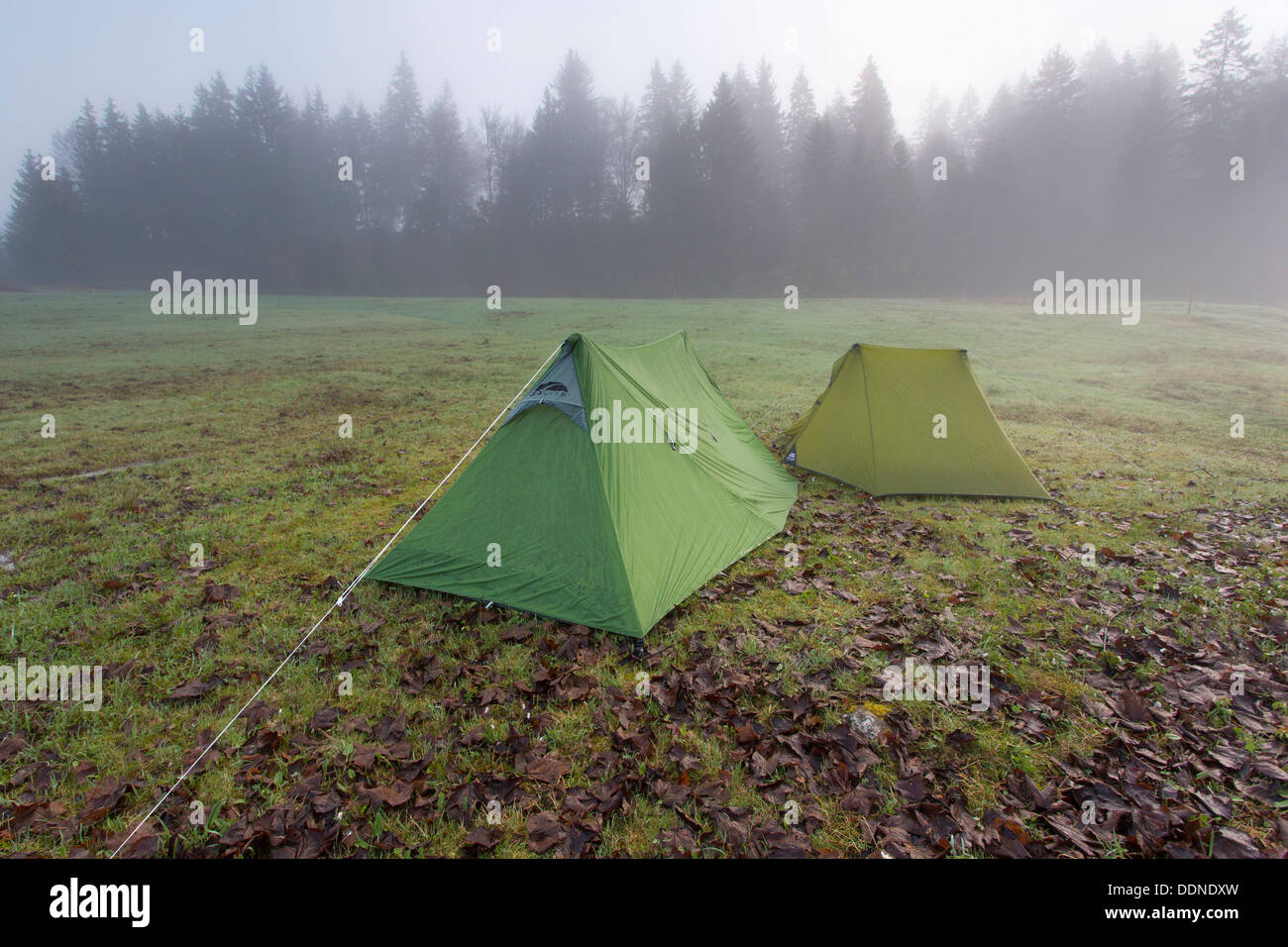 Deux tentes, Schluchtensteig, Forêt-Noire, Bade-Wurtemberg, Allemagne, Europe Banque D'Images