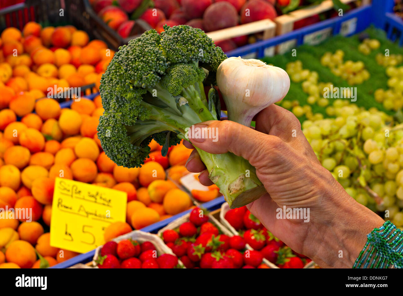 La main de femme tenant un bouquet de brocoli et de gousses d'ail, de l'alimentation et marché de fruits et légumes Banque D'Images