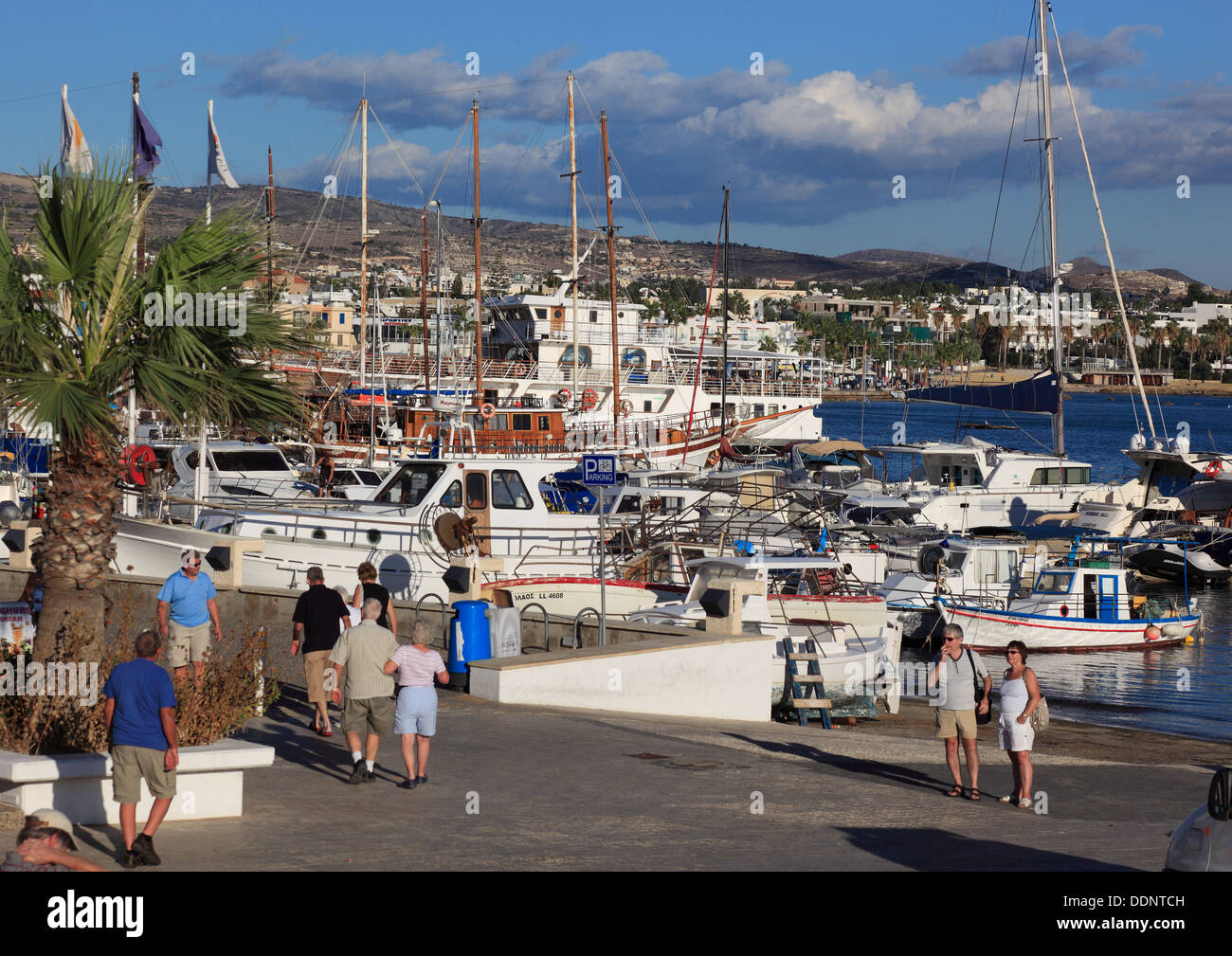 Chypre, Pafos ville, Gazibaf en port Banque D'Images