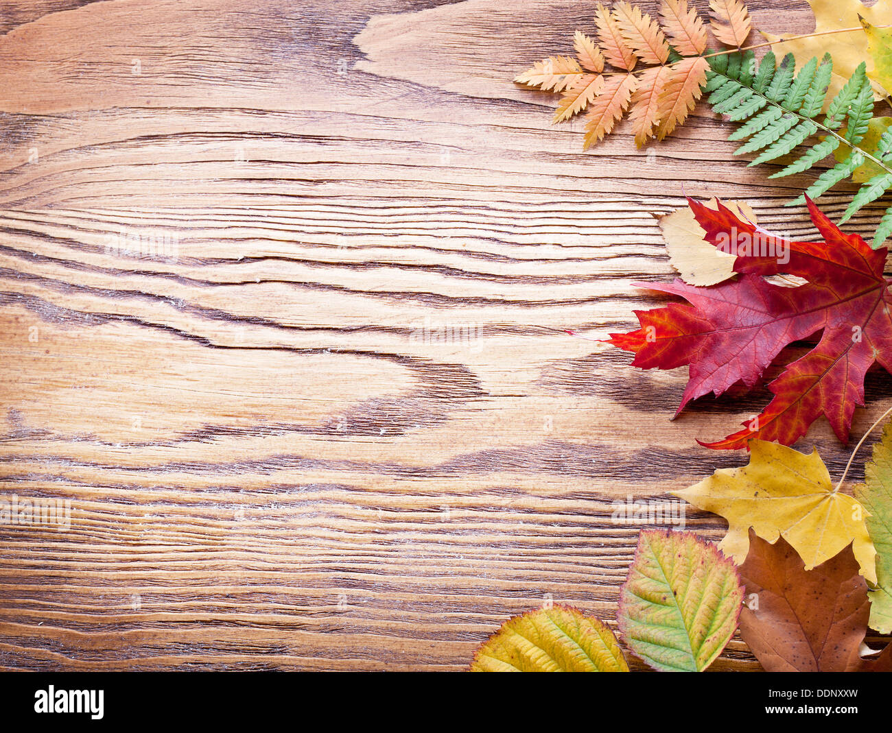 Feuilles d'automne sur une table en bois. Banque D'Images