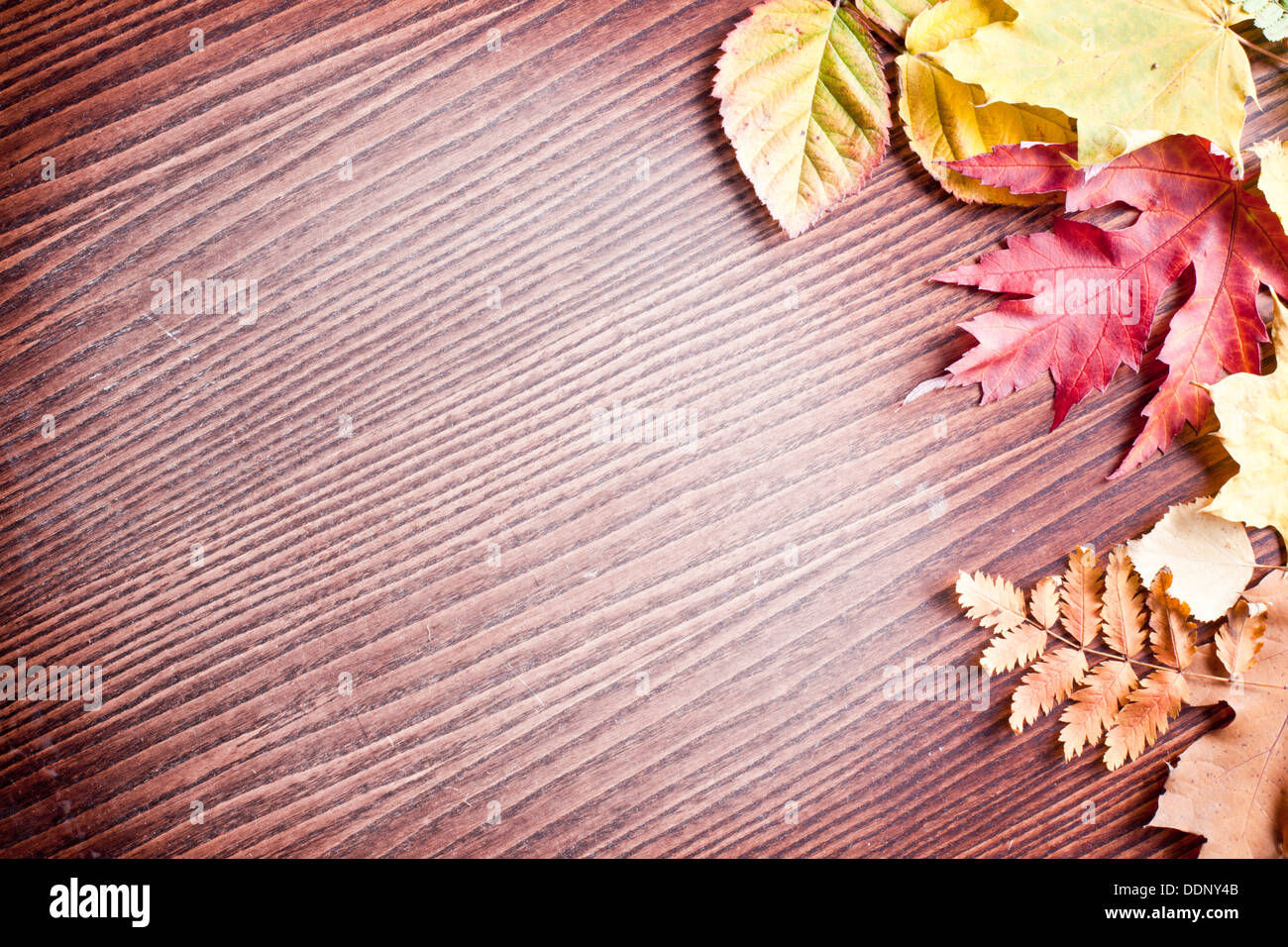 Feuilles d'automne sur une table en bois. Banque D'Images