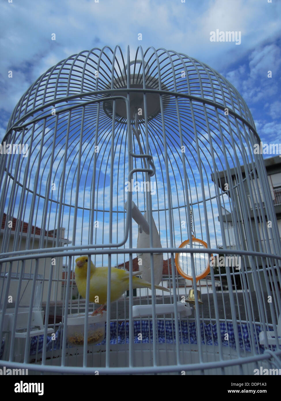 Un secteur de l'oiseau en cage de la piscine avec l'arrière-plan d'un beau ciel bleu Banque D'Images