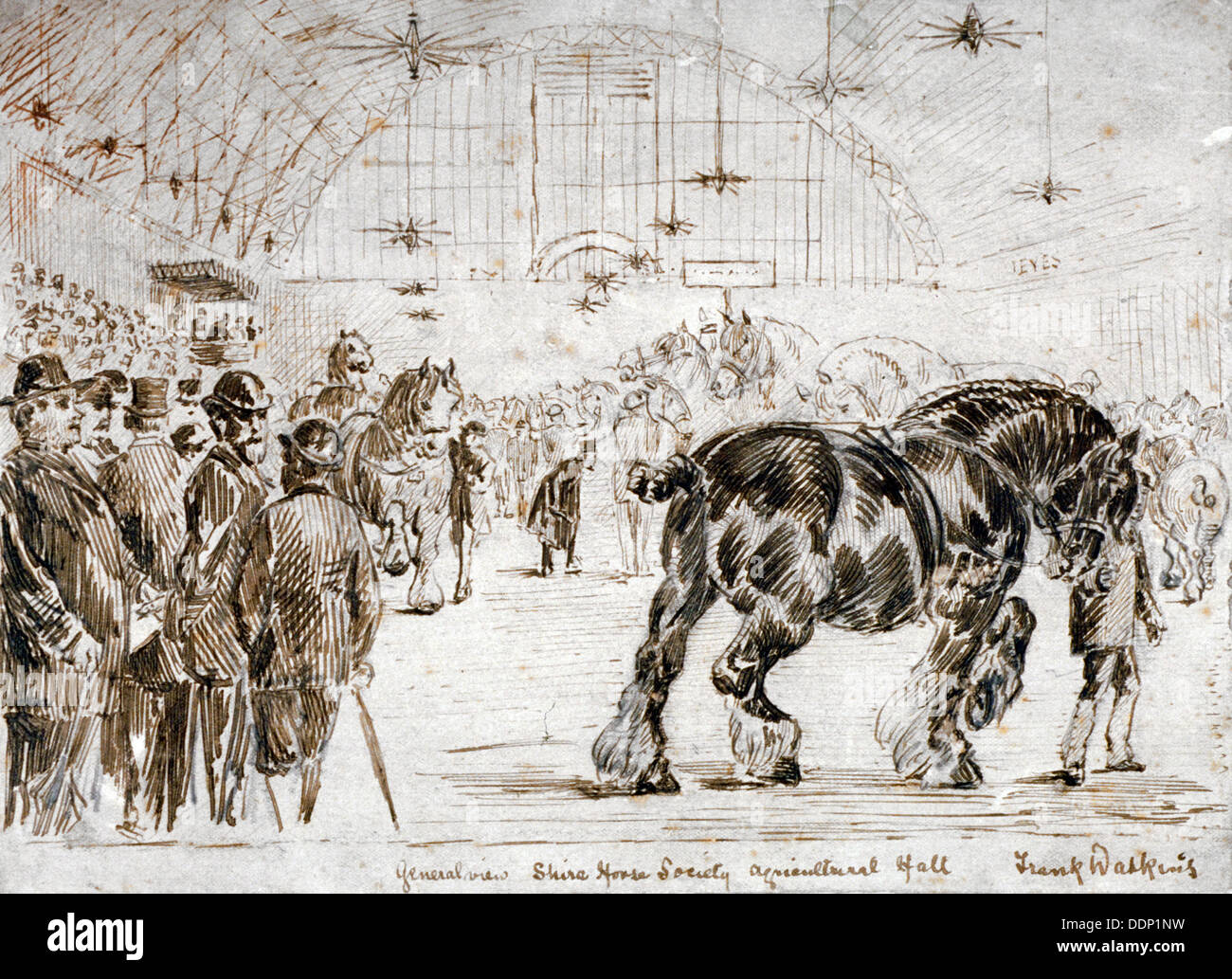 Réunion de la Shire Horse Society dans Islington's Agricultural Hall, London, c1875. Artiste : Frank Watkins Banque D'Images