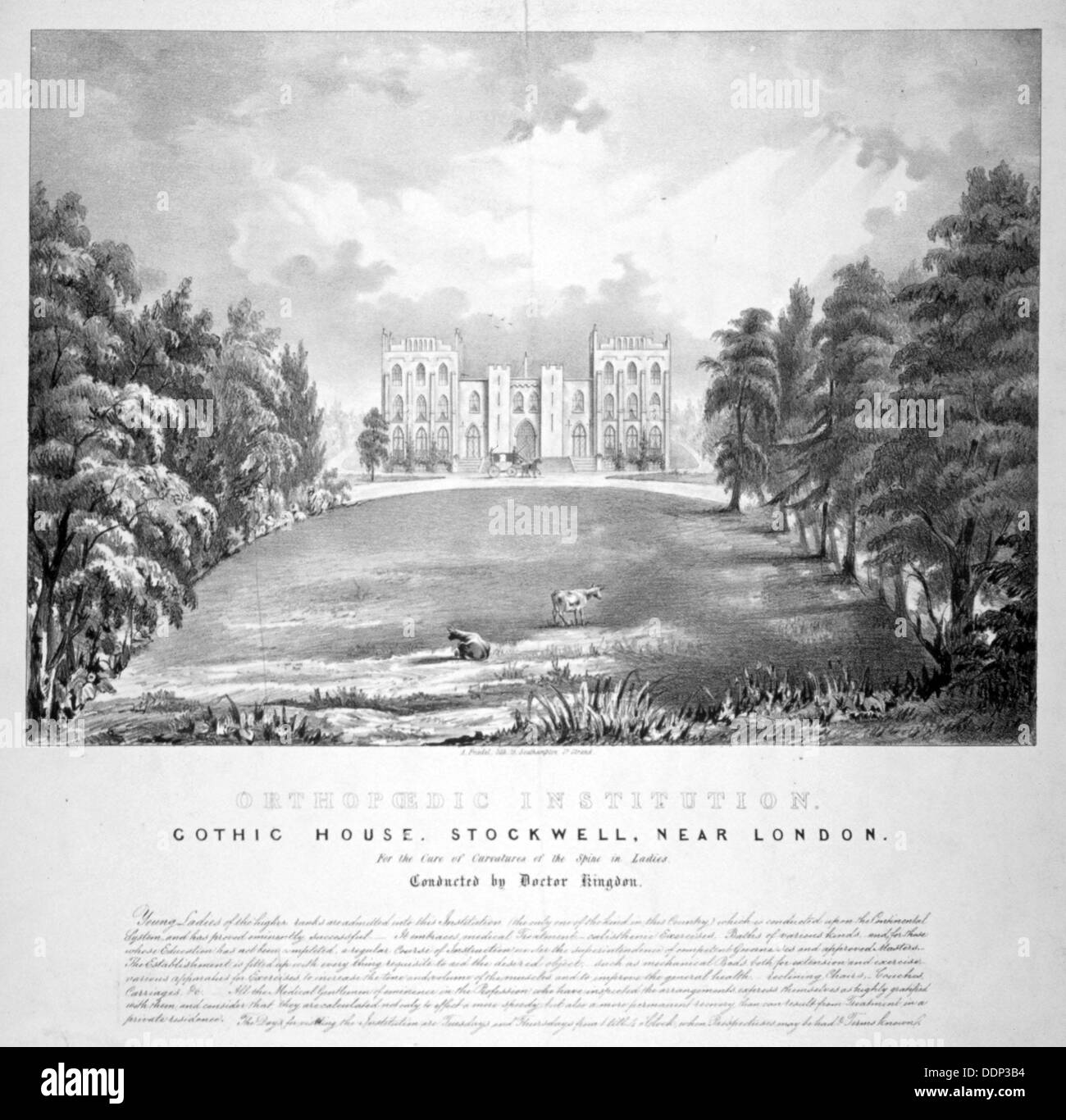 Institution d'orthopédie, maison gothique, Stockwell, Lambeth, London, c1840. Artiste : UN Friedel Banque D'Images