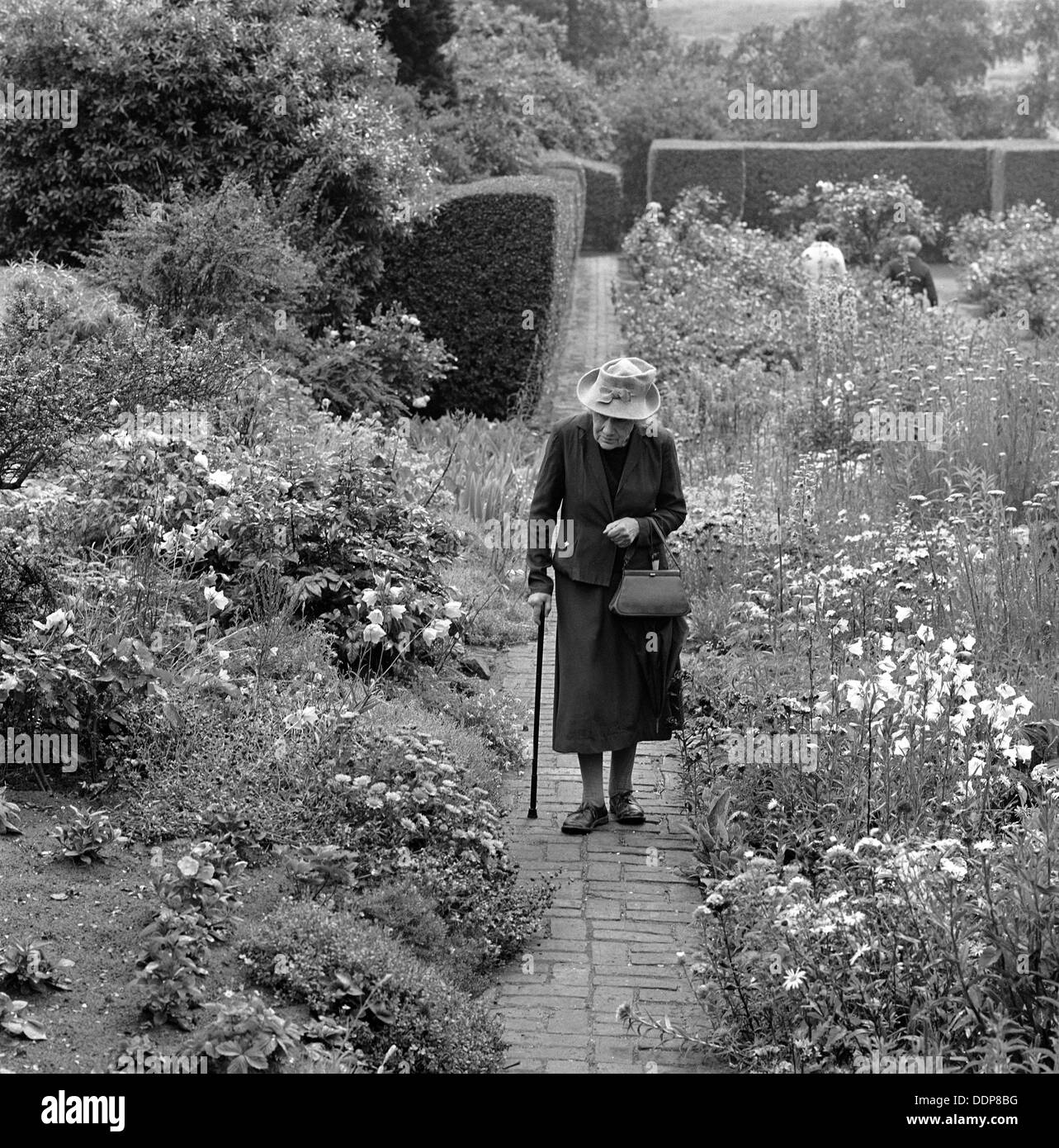 Une vieille dame balade dans un jardin de fleurs à Aldeburgh, dans le Suffolk, 1956. Artiste : John Gay Banque D'Images