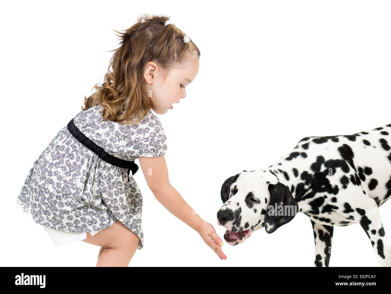 Enfant Enfant Portrait Dalmatien Chien Animal De Compagnie Banque D Image Et Photos Alamy