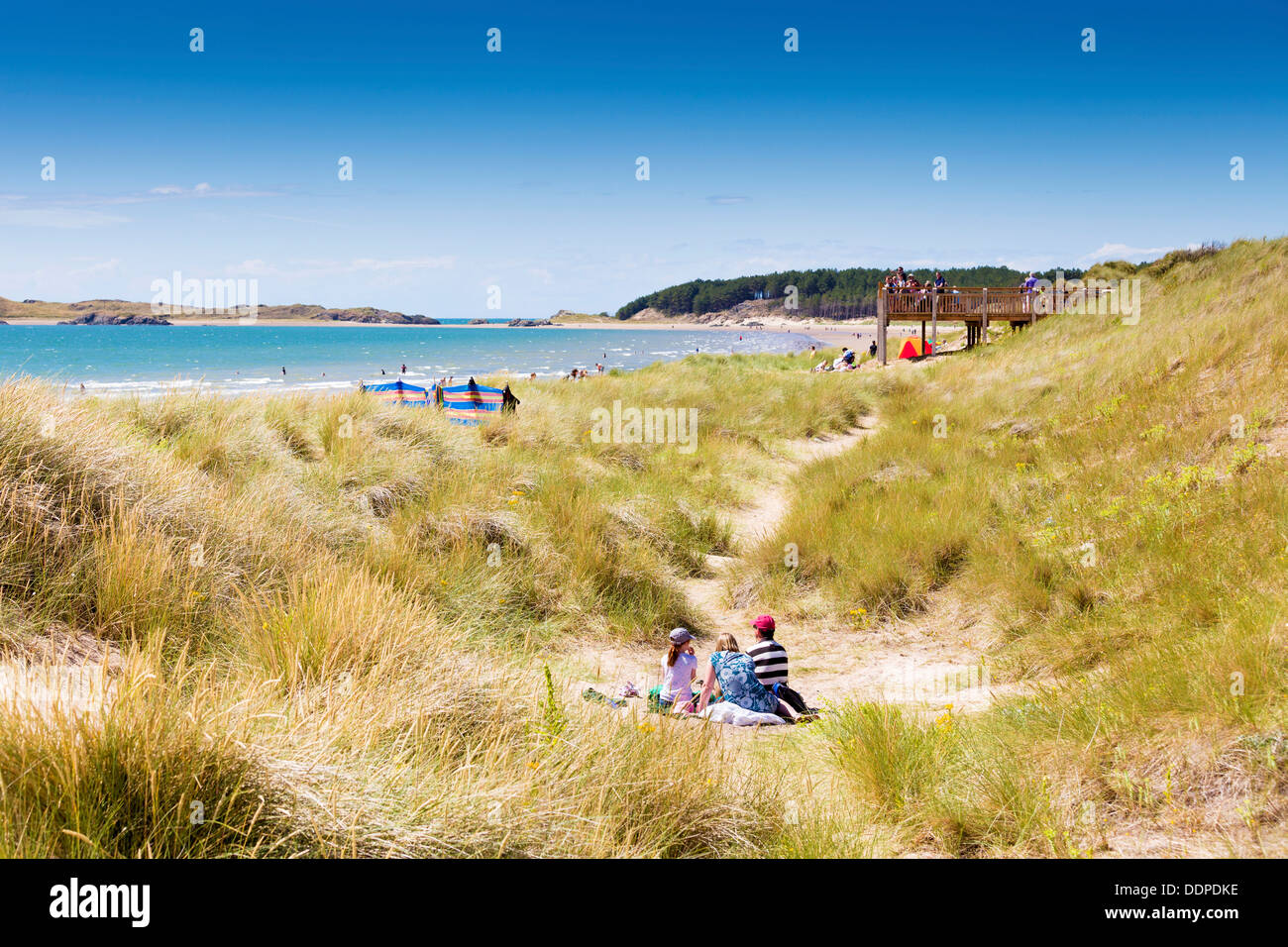 Newborough Beach - Les visiteurs de soleil dans les dunes Banque D'Images