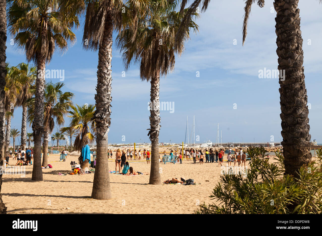 Les gens sous les palmiers sur la plage de Salou Banque D'Images