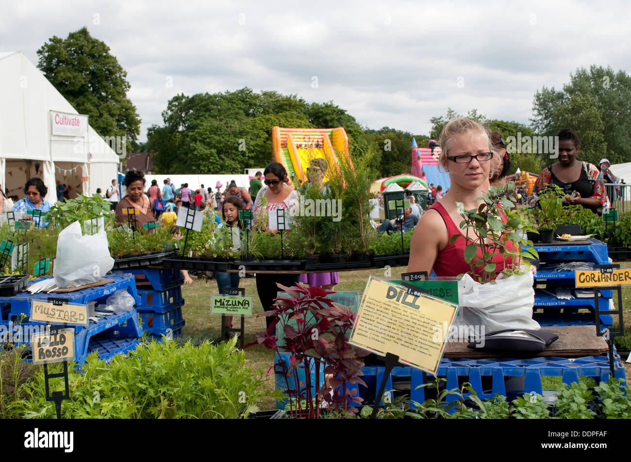 Herbes culinaires, décrochage pays Lambeth Show 2013, Brockwell Park, London, UK Banque D'Images