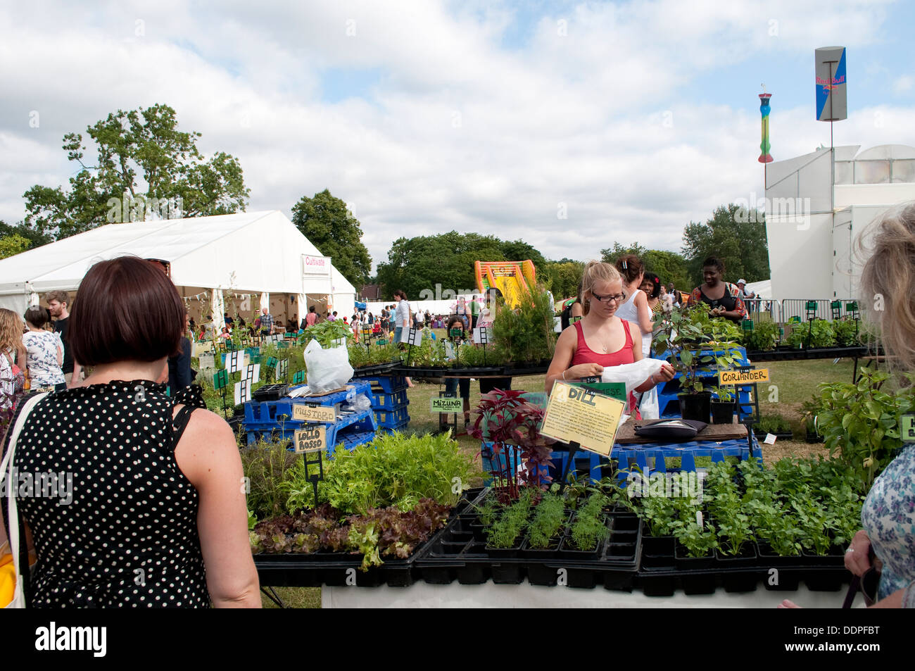 Herbes culinaires, décrochage pays Lambeth Show 2013, Brockwell Park, London, UK Banque D'Images