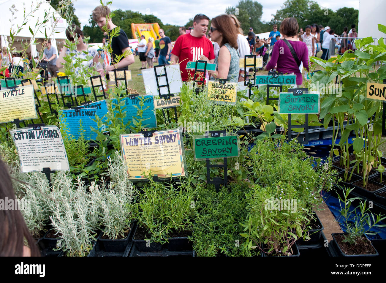 Herbes culinaires, décrochage pays Lambeth Show 2013, Brockwell Park, London, UK Banque D'Images