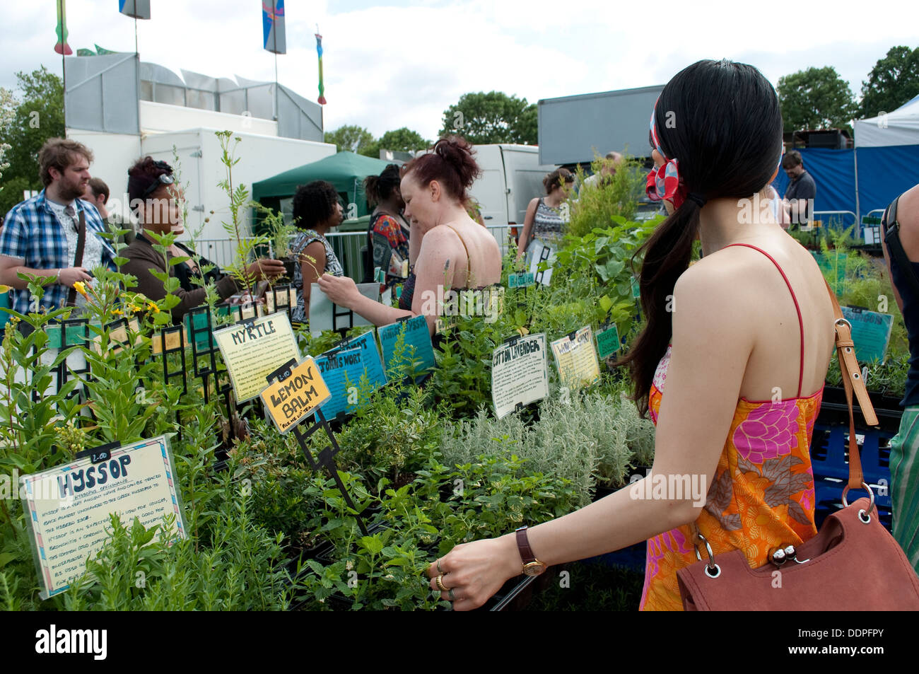 Herbes culinaires, décrochage pays Lambeth Show 2013, Brockwell Park, London, UK Banque D'Images