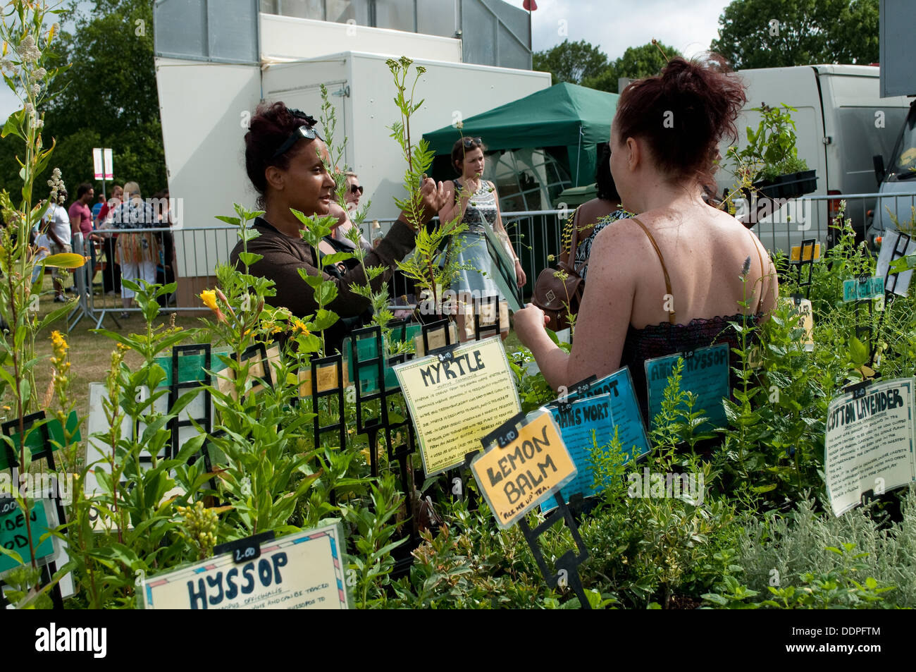 Herbes culinaires, décrochage pays Lambeth Show 2013, Brockwell Park, London, UK Banque D'Images