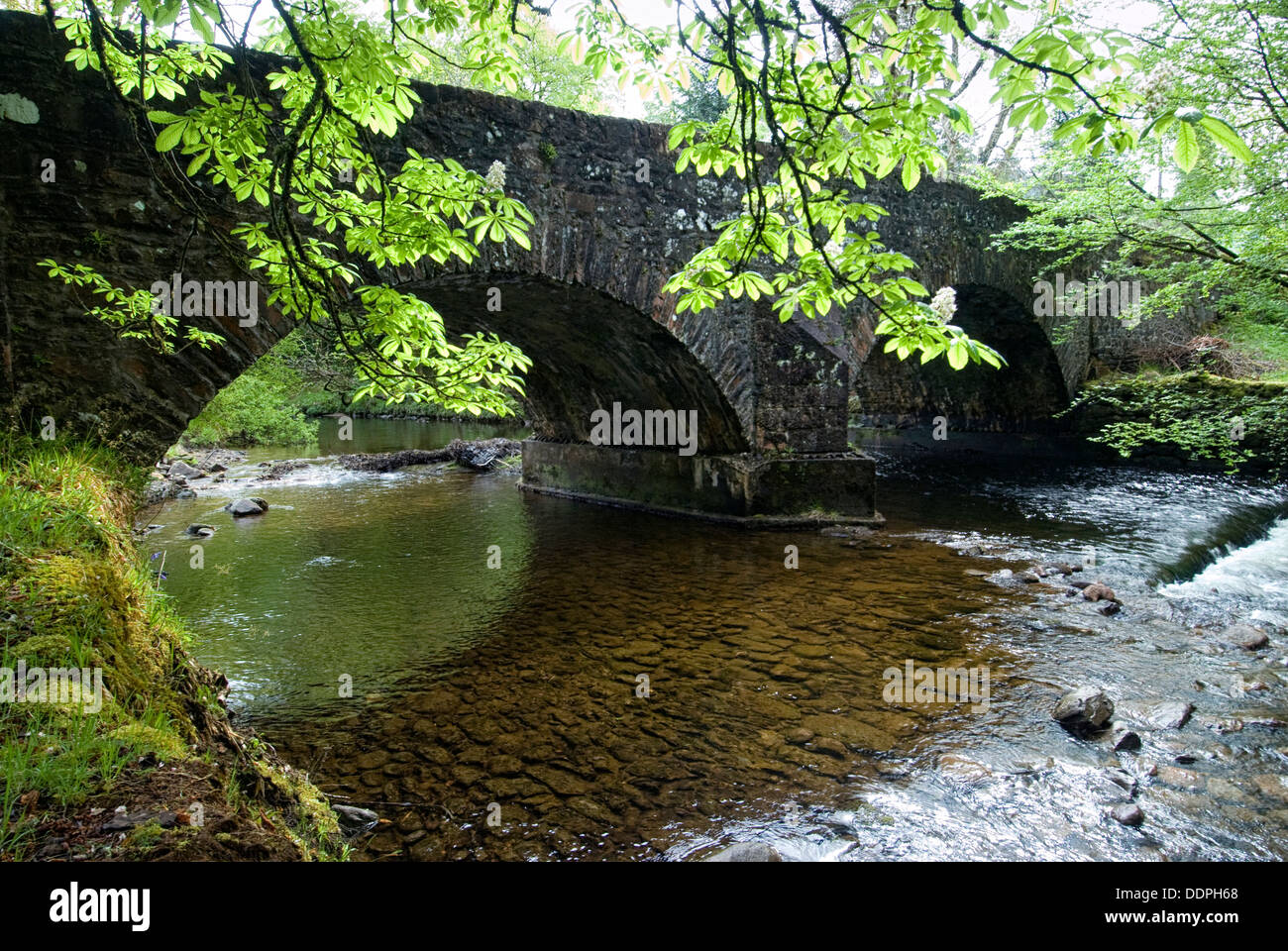 Vieux pont de pierre sur la rivière, l'Ecosse, Grande-Bretagne, Royaume-Uni Banque D'Images