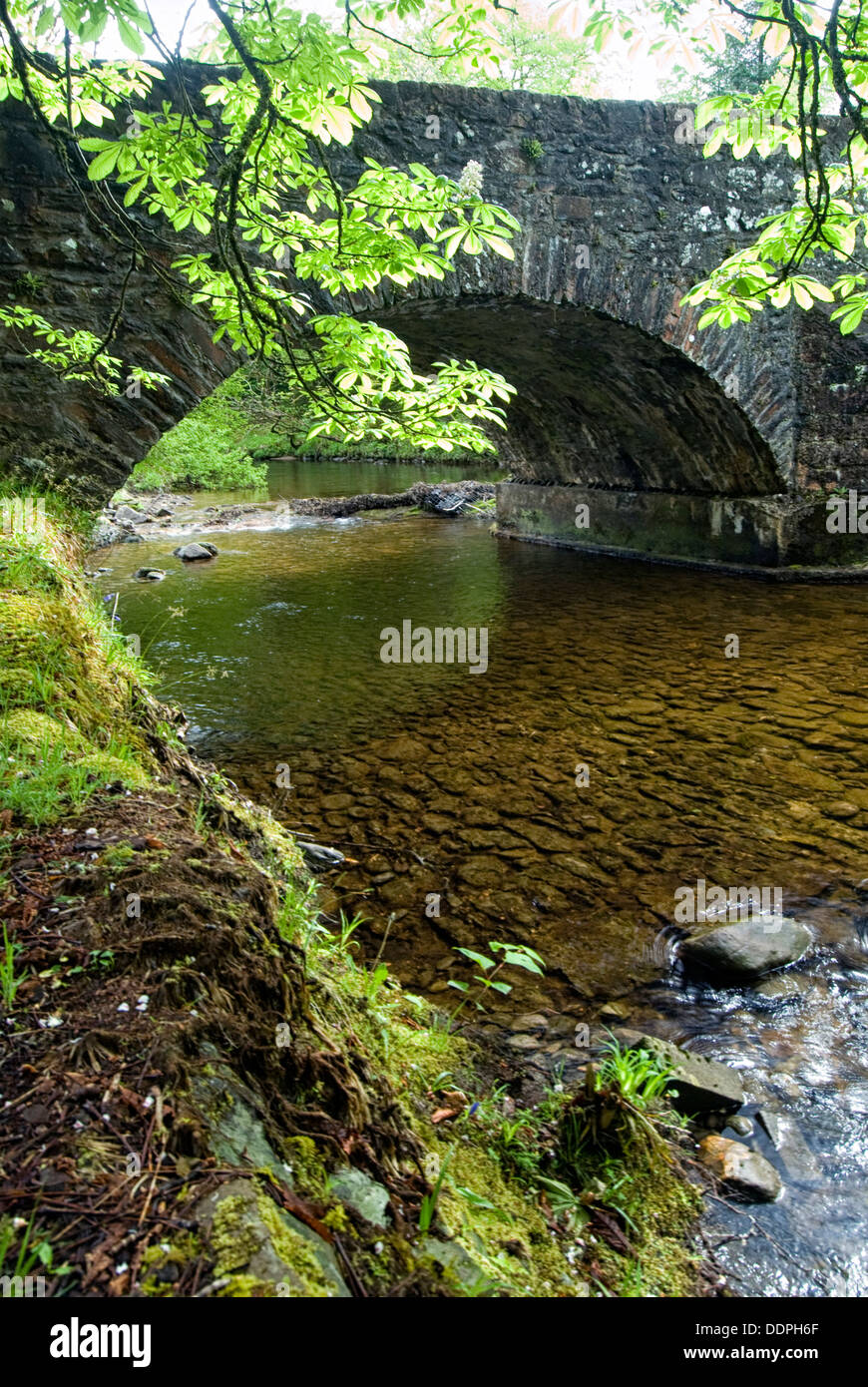 Vieux pont de pierre sur la rivière, l'Ecosse, Grande-Bretagne, Royaume-Uni Banque D'Images