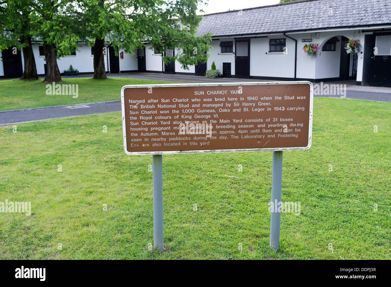 Irish National Stud à Kildare, Irlande Banque D'Images