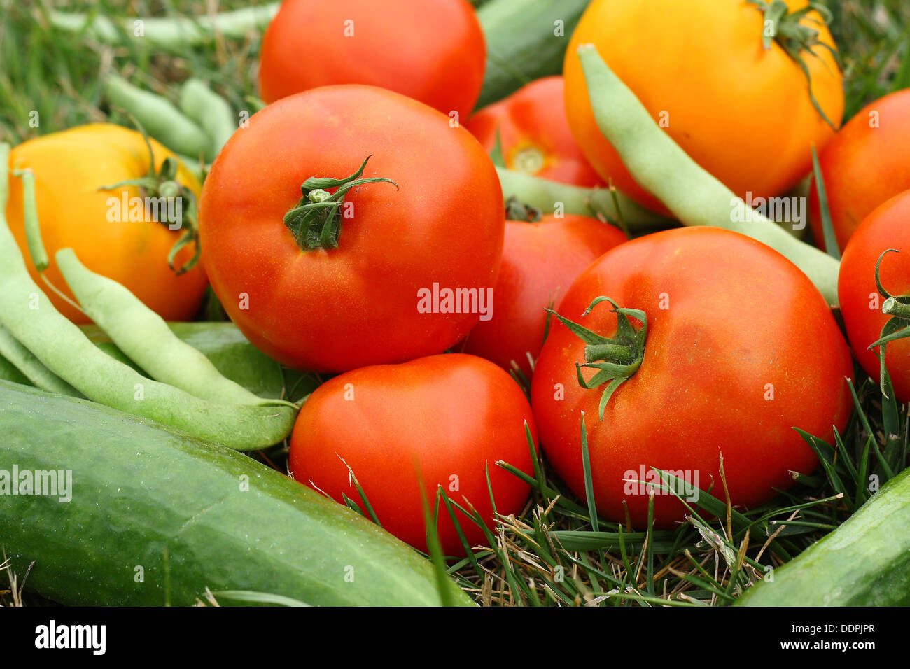 Un tas de légumes frais cueillis est situé à l'extérieur dans l'herbe un jour d'été Banque D'Images