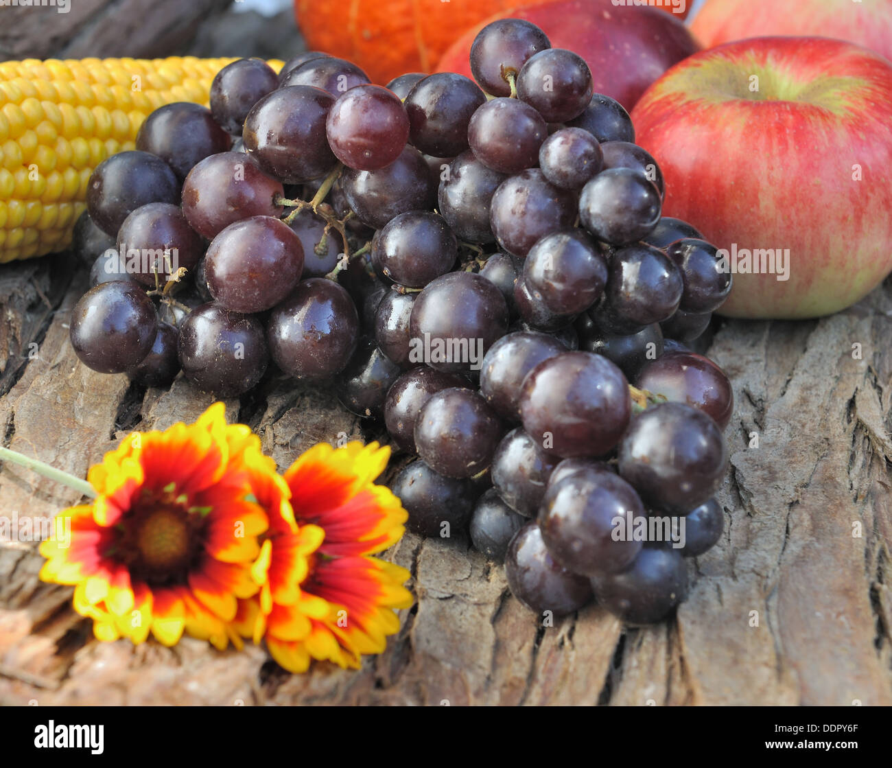 Bouquet de raisins noirs avec des pommes rouges sur fond de bois Banque D'Images