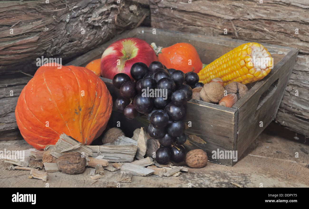 Fruits et légumes d'automne dans un cadre rustique Banque D'Images