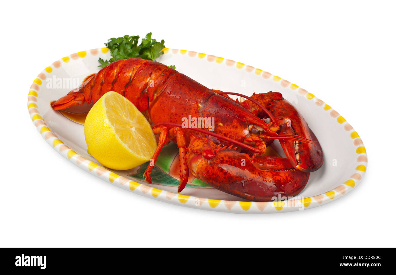 Red Lobster avec citron et persil sur fond blanc Banque D'Images