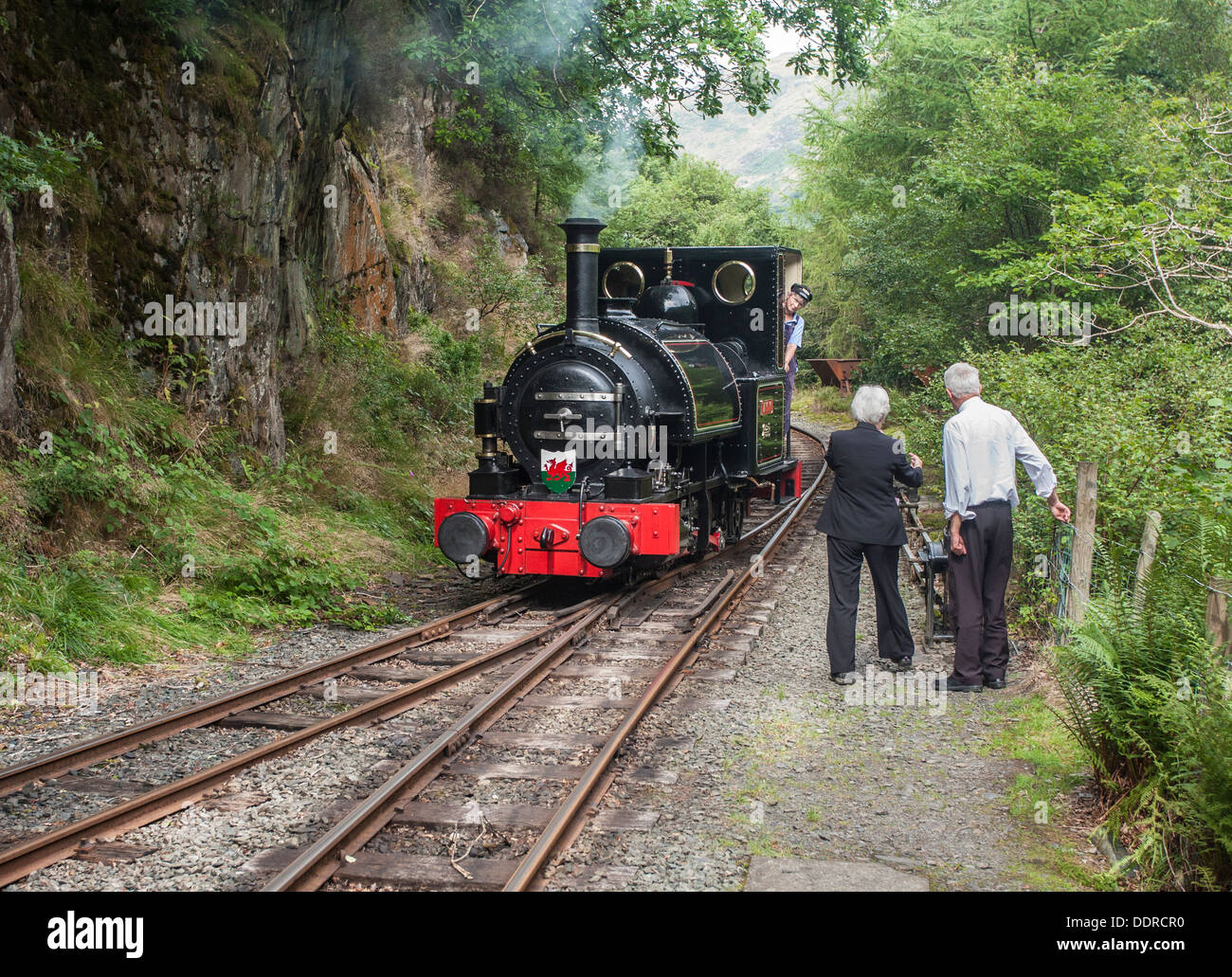 LocomotiveTalyllyn prépare à changer de piste près de Nant Gwernol Talyllyn Railway Station sur l', Gwynedd, Pays de Galles Banque D'Images