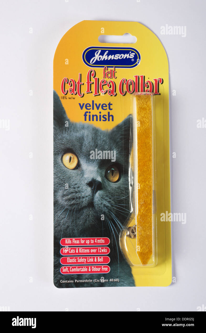Collier Anti Puces Banque De Photographies Et D Images A Haute Resolution Alamy