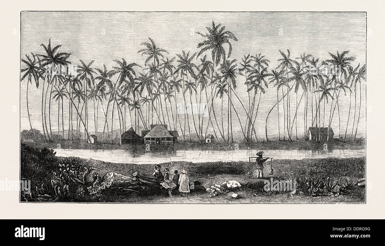 La RÉSIDENCE D'ÉTÉ DU ROI KAMEHAMEHA V. à Waikiki, 1873 Gravure Banque D'Images