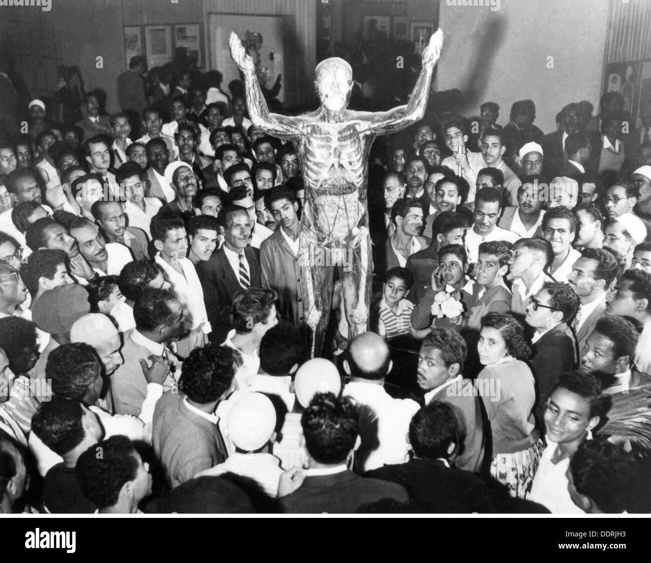 Médecine, anatomie, verre humain, homme transparent à la foire industrielle, le Caire, 1957, droits additionnels-Clearences-non disponible Banque D'Images