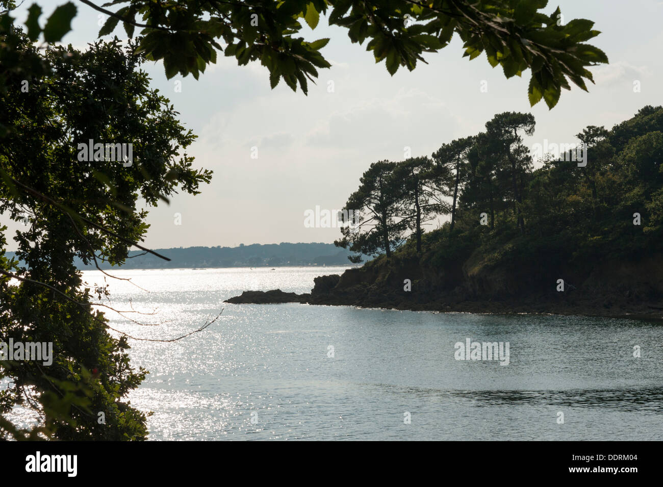 Une baie avec la silhouette des arbres sur la côte bretonne à proximité de Concarneau Bretagne France Banque D'Images