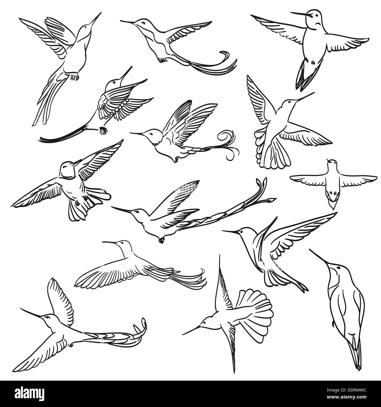 Jeux de dessin colibri faite dans le cadre de style art Banque D'Images