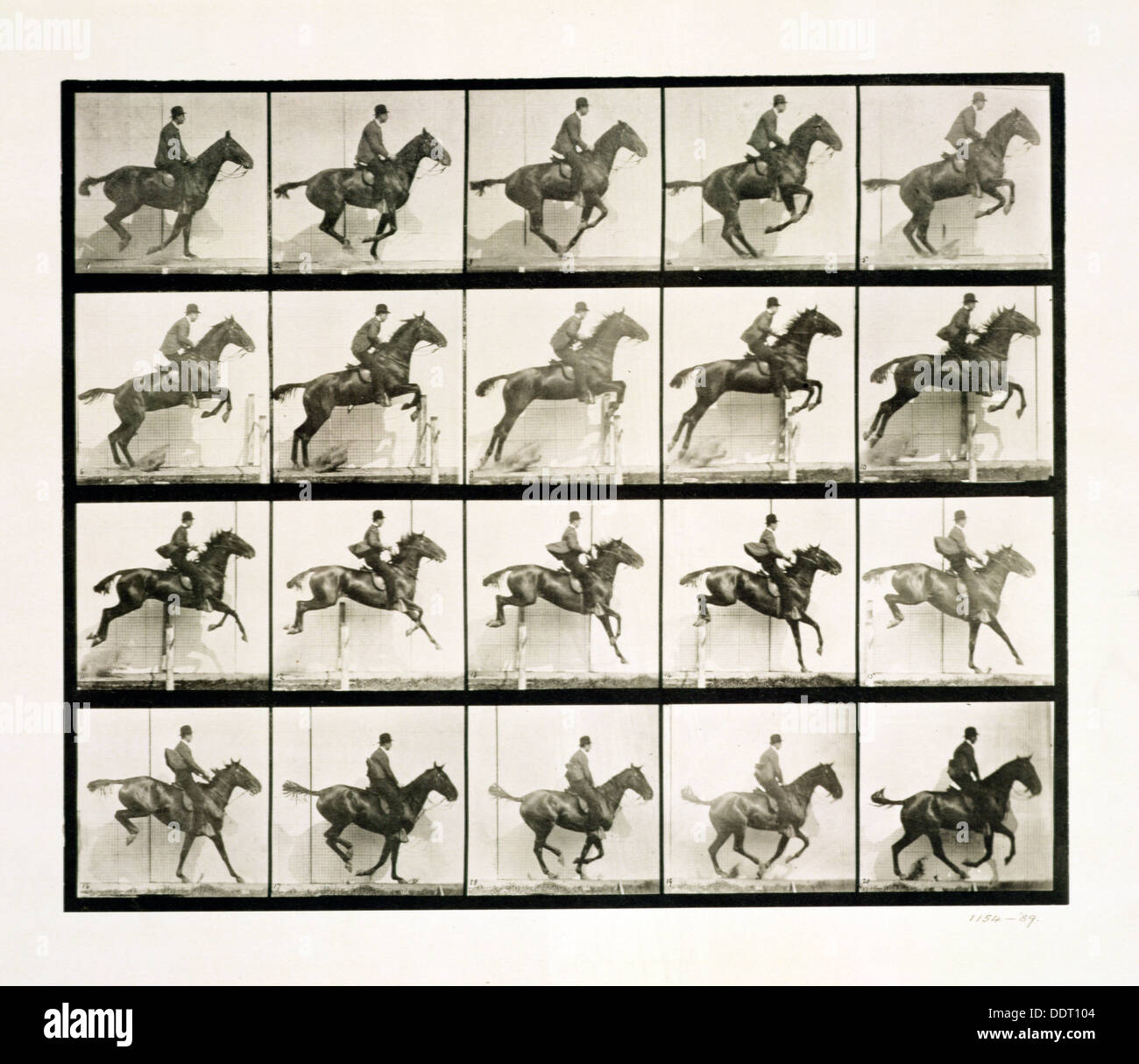 L'homme et le Cheval sautant une clôture, 1887 Artiste : Eadweard Muybridge J Banque D'Images